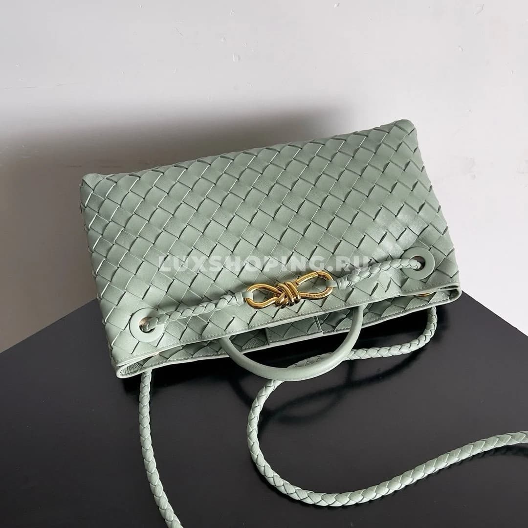 Сумка BOTTEGA VENETA ANDIAMO East-West светло бирюзовый - фото 5