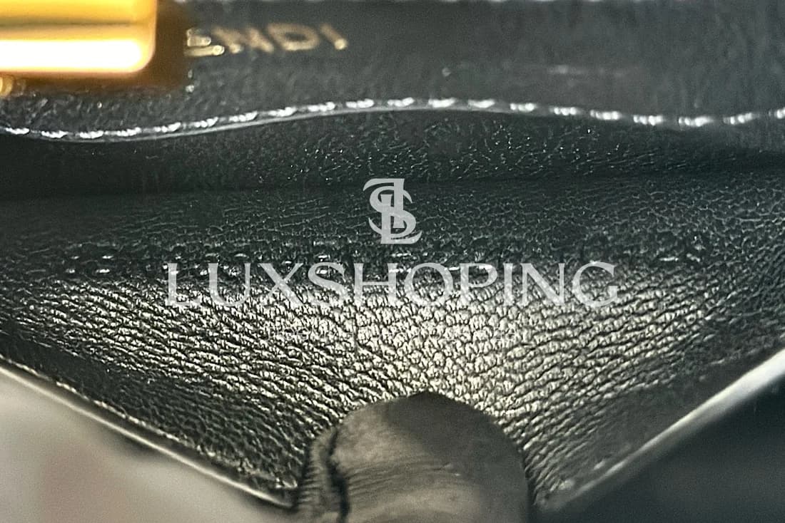 Fendi Peekaboo ISeeU Petite черная 20×11×15 см - фото 8