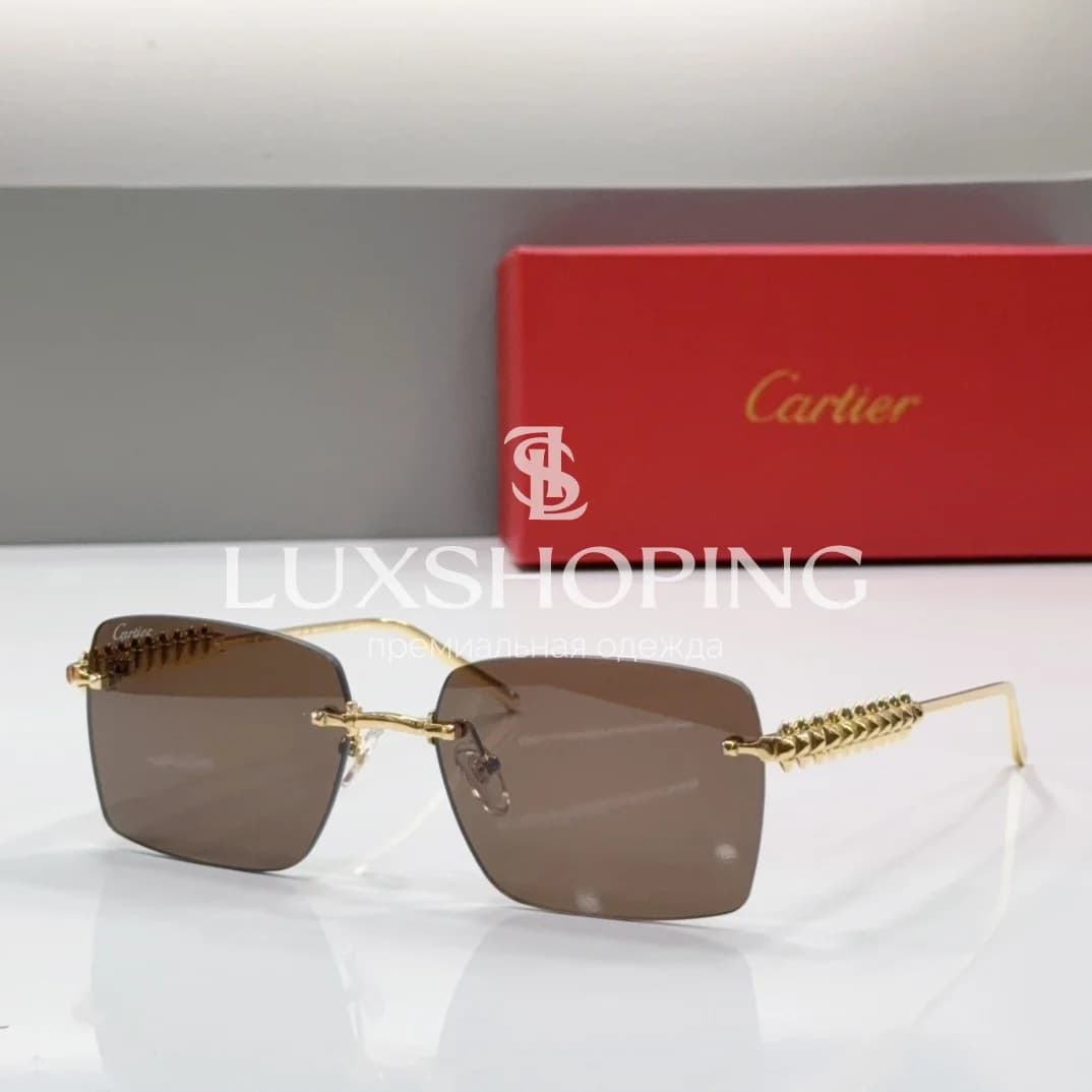 Очки Cartier CT0440S - фото 2