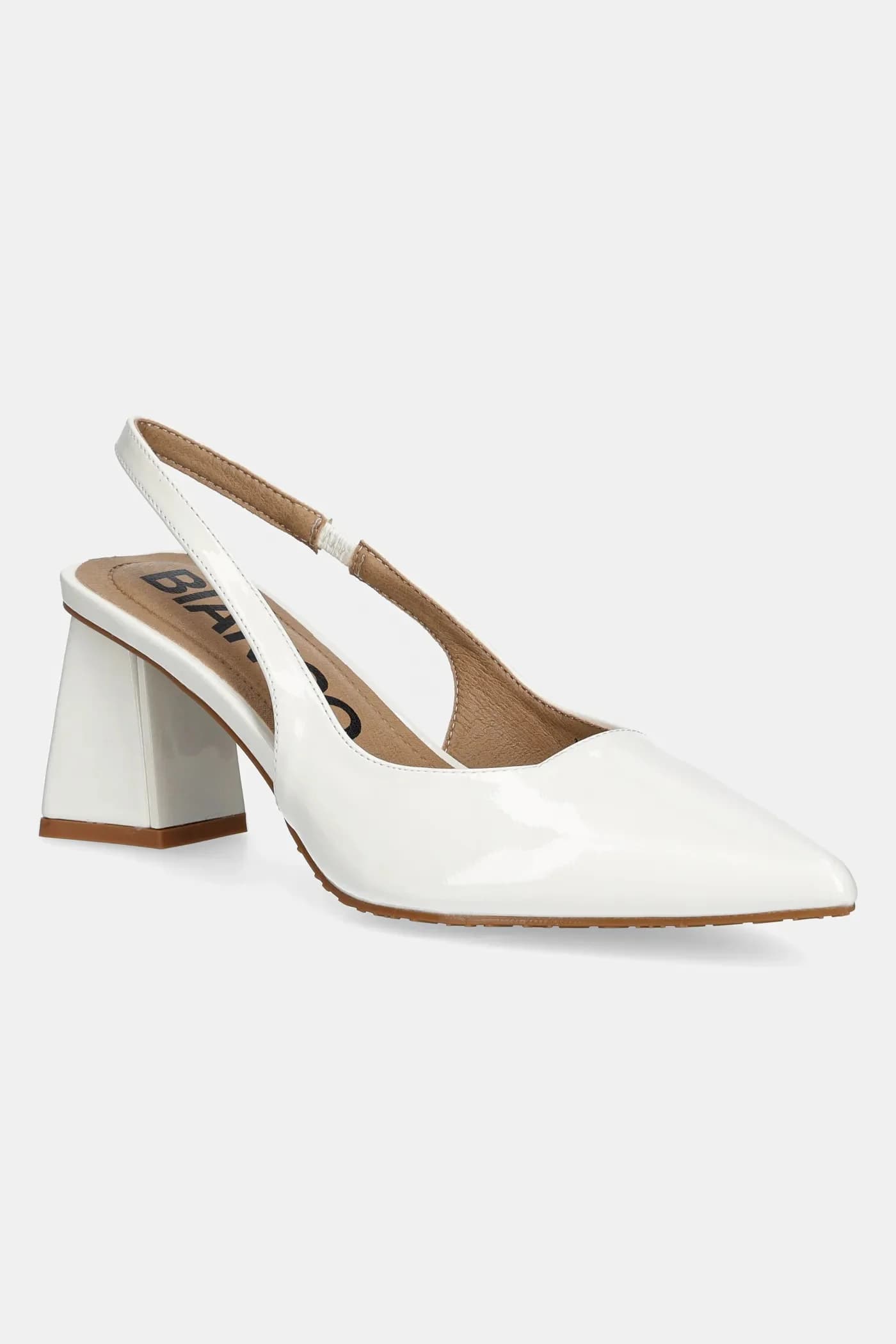 Насосы BIAMARALYN