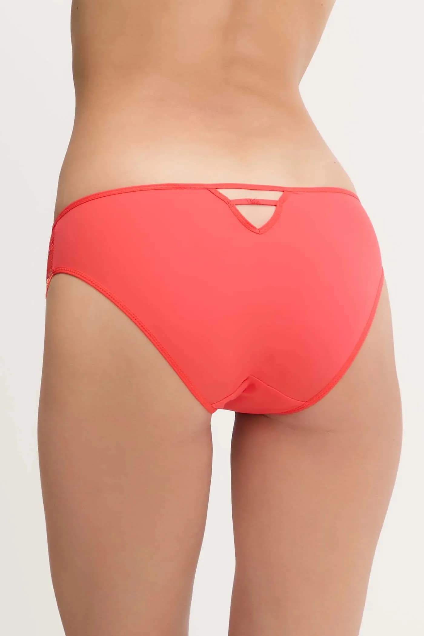 Инжир - фото 2