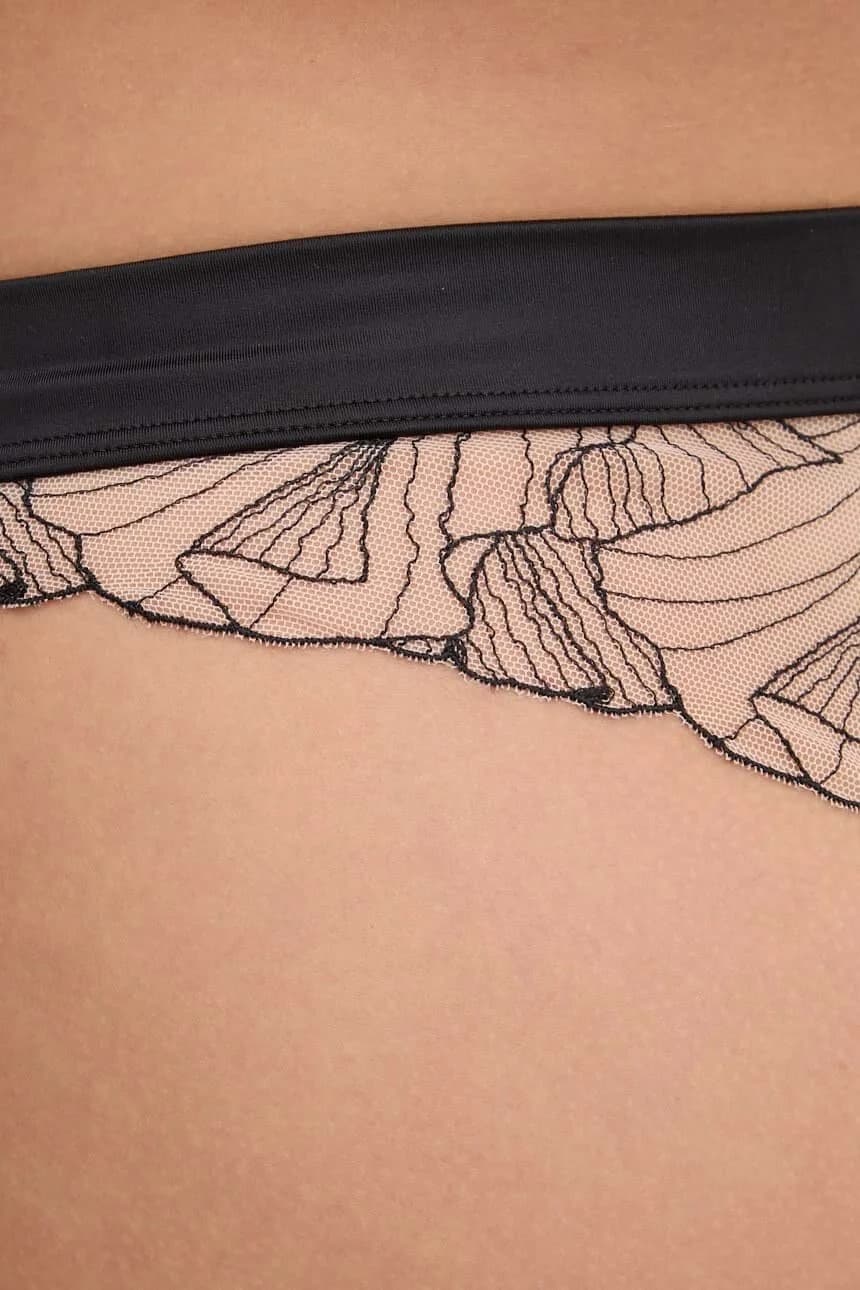 Инжир - фото 4