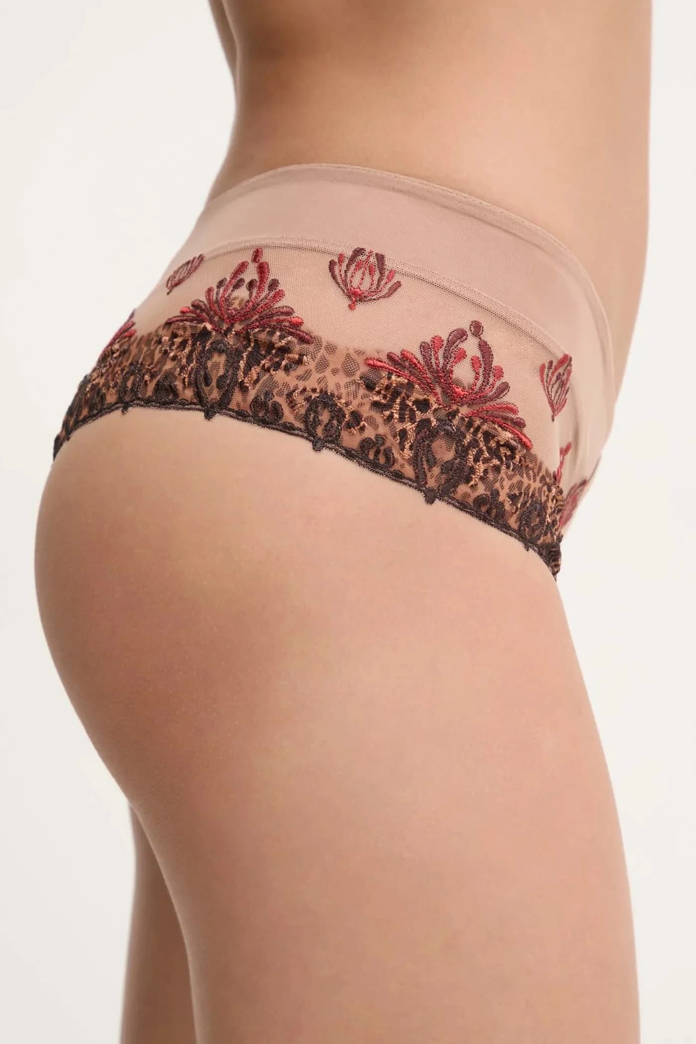 бразильцы - фото 2