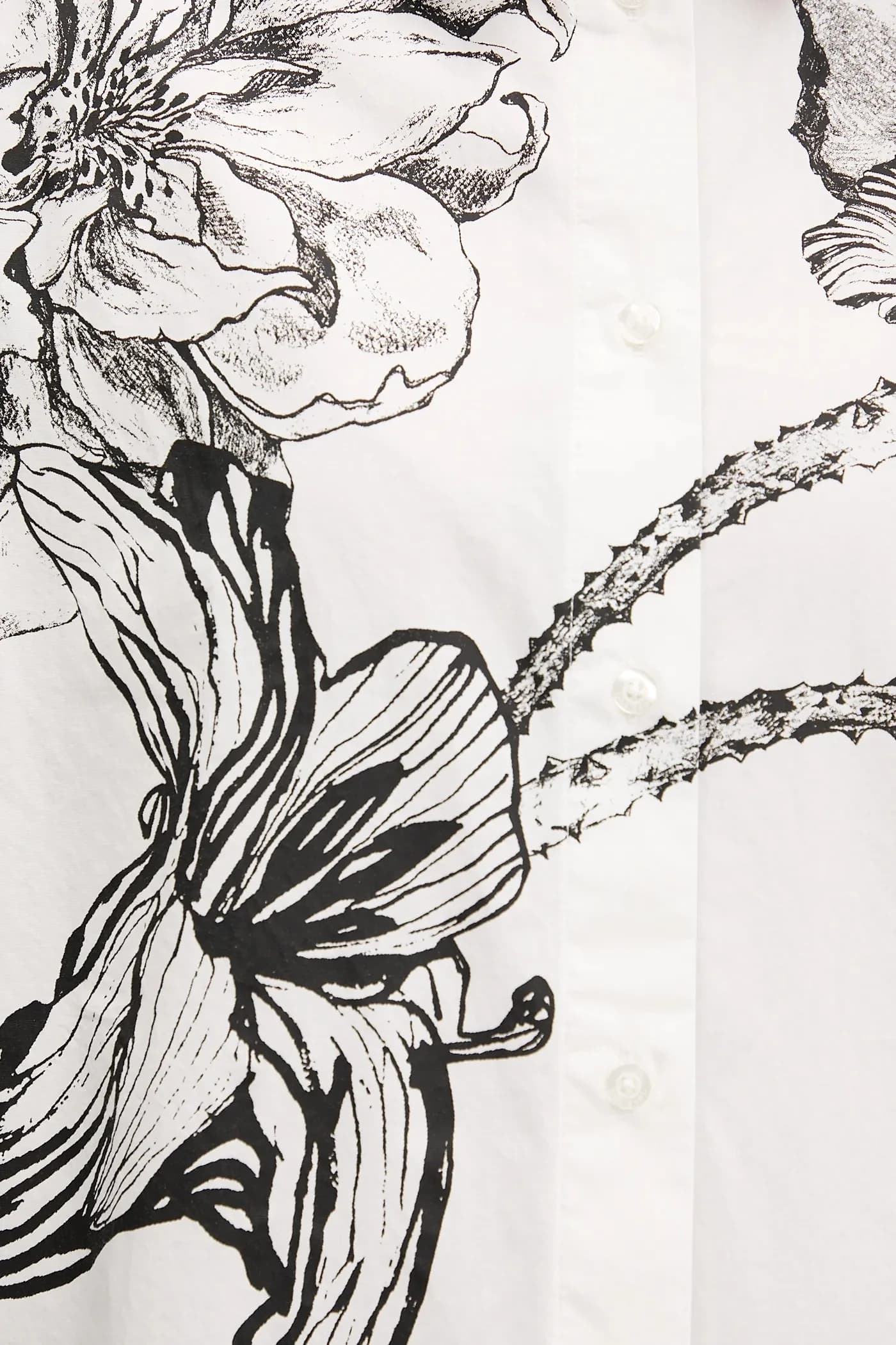 Рубашка Desigual из хлопка BYN LACROIX - фото 5