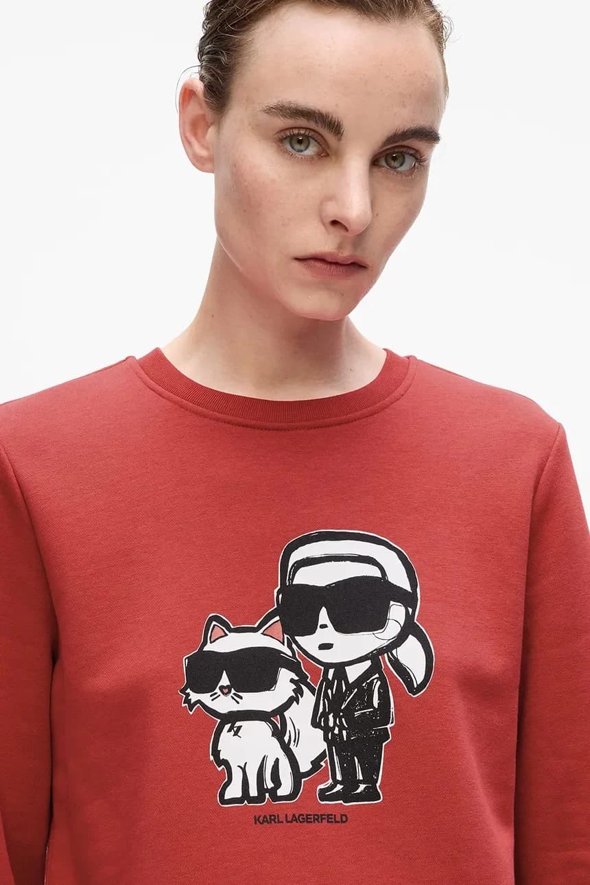 ИКОН толстовка - фото 3