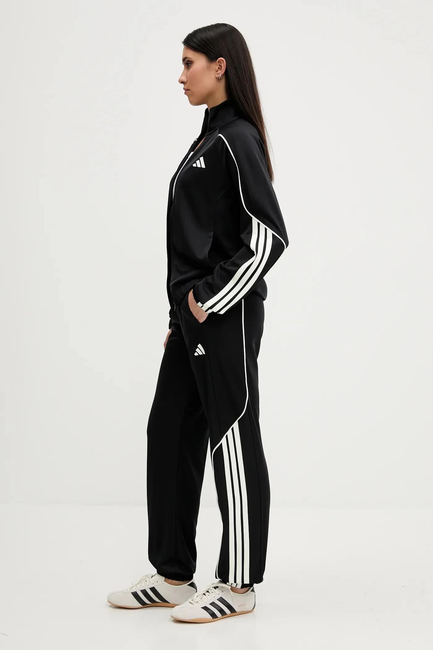 Стадион Дрес - фото 2