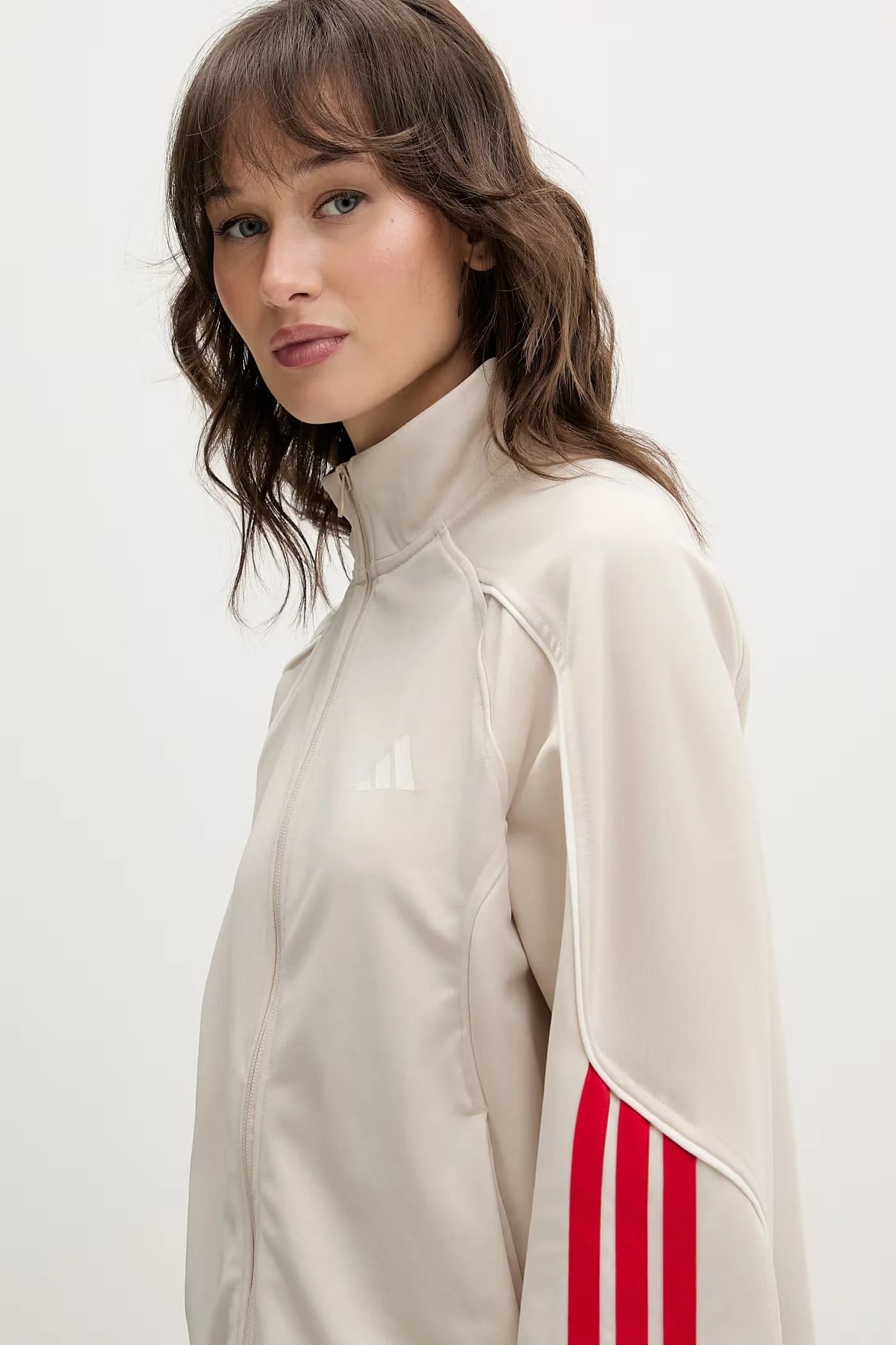 Стадион Дрес - фото 5