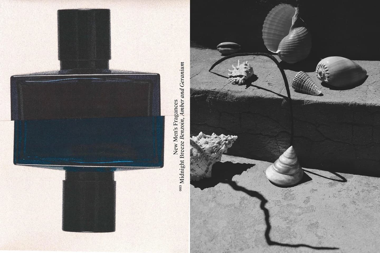 (100 мл) Парфюмированная вода Midnight Breeze - фото 9