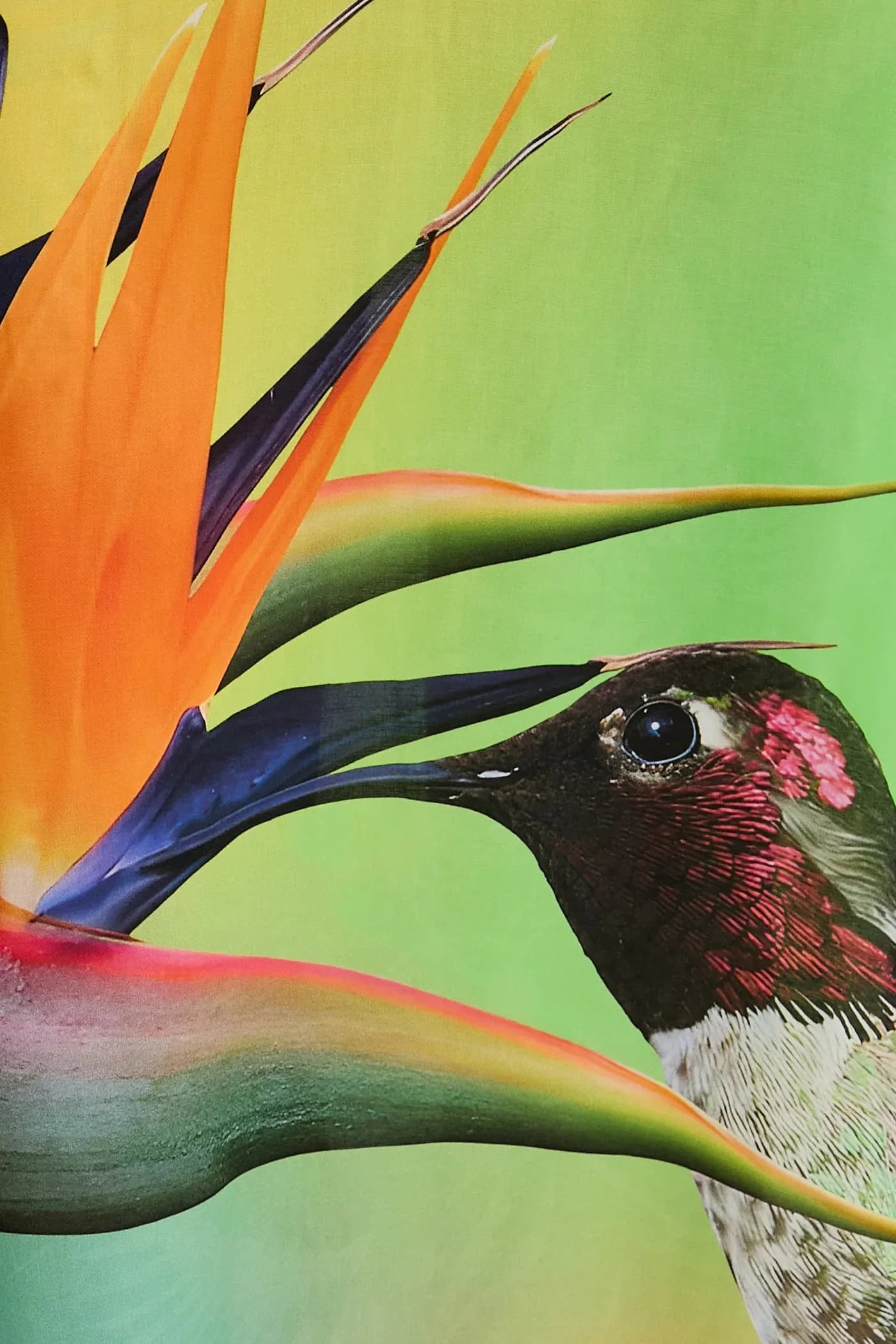 COLIBRÍ DRESS пляжное платье - фото 5