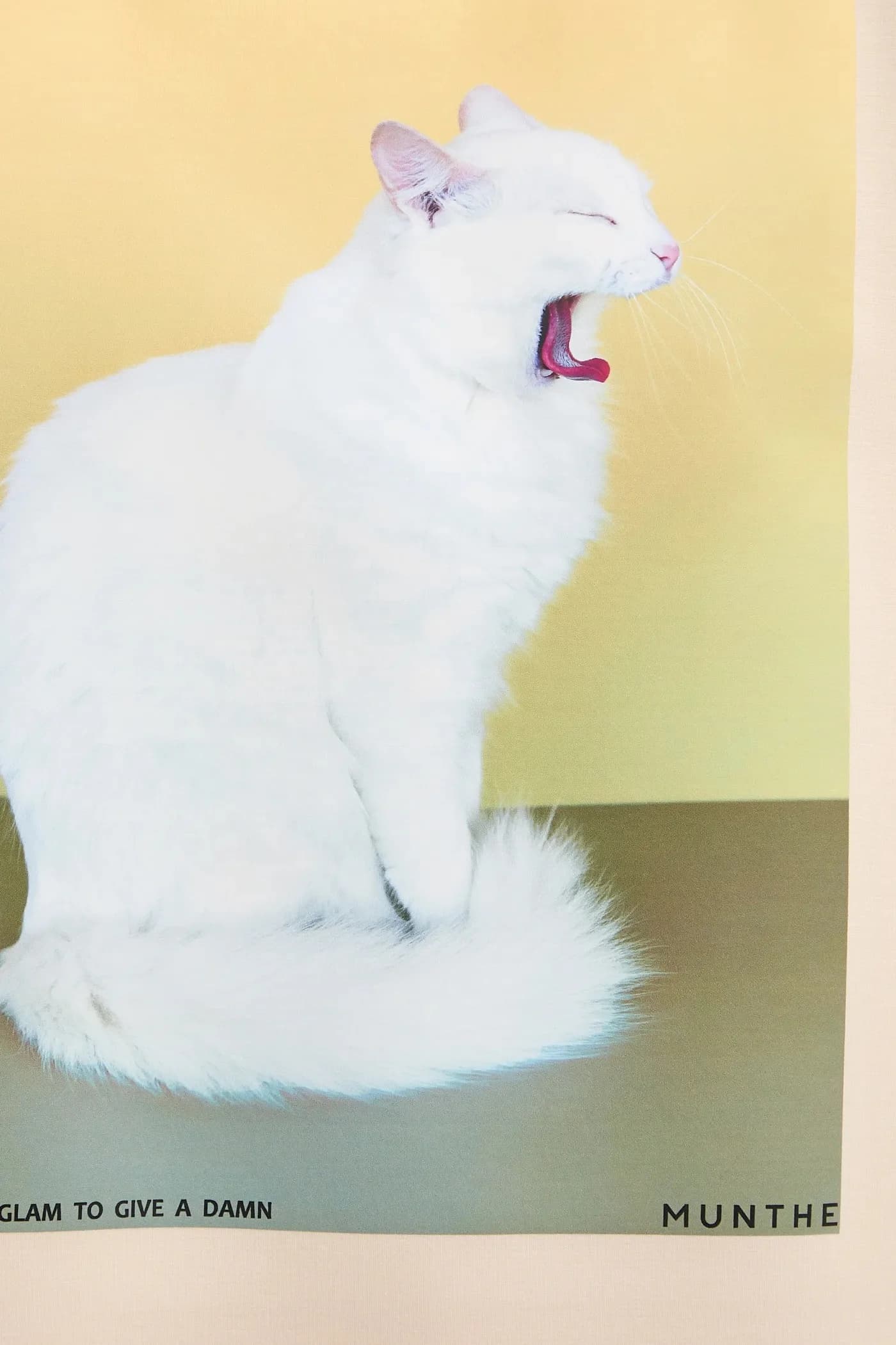 Футболка РАПЛОЙ - фото 5