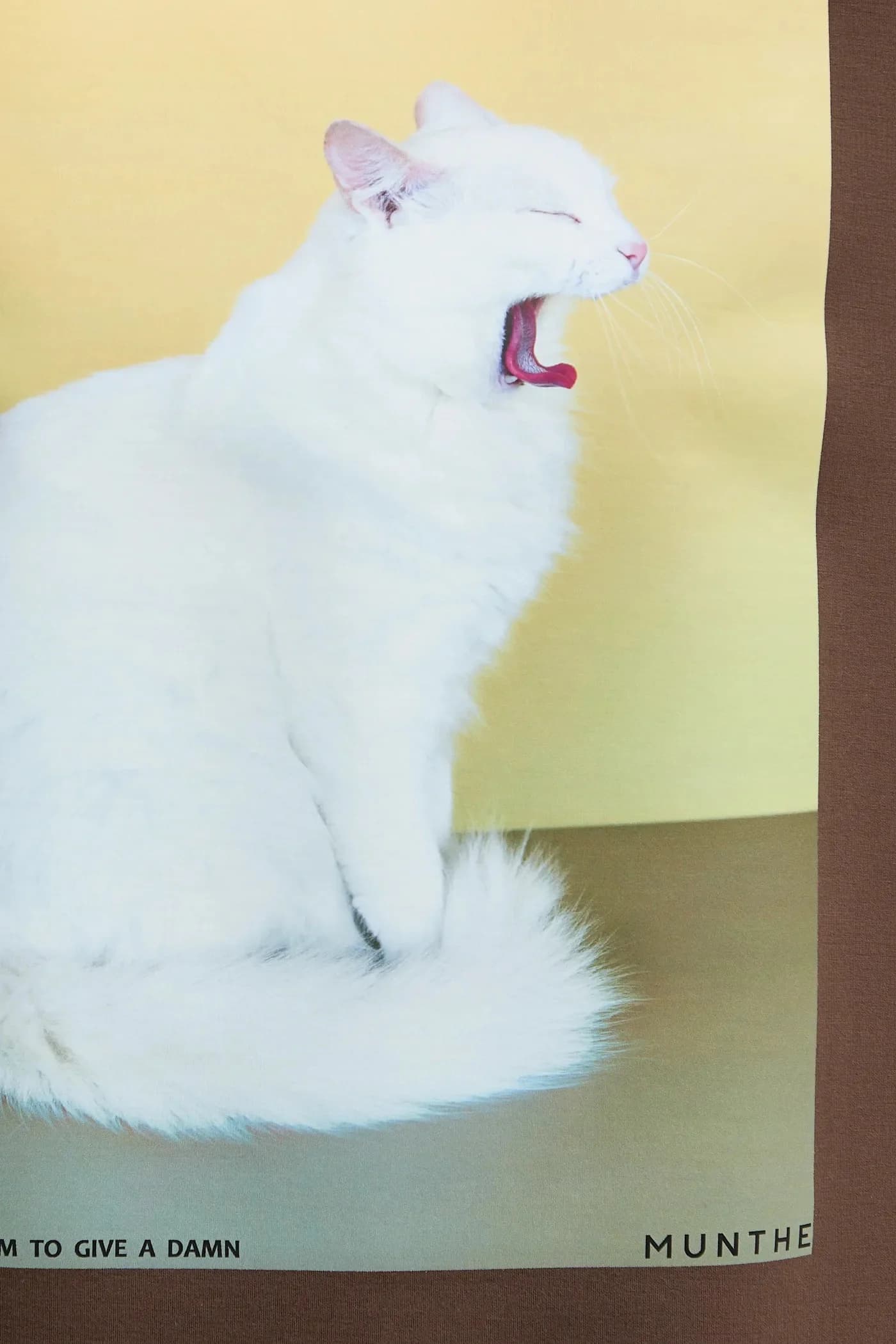 Футболка РАПЛОЙ - фото 5