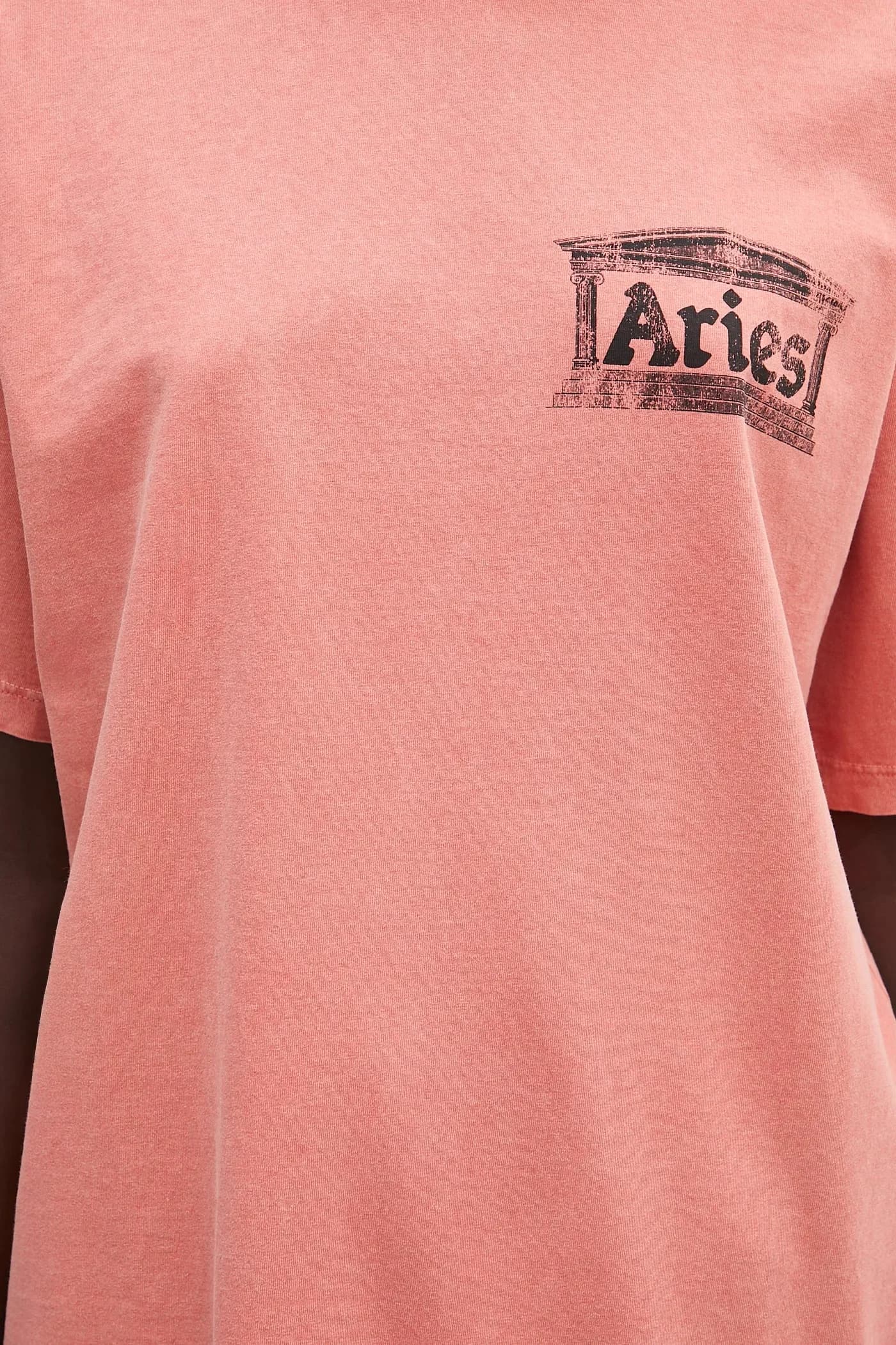 Футболка Aged Ancient Temple SS, хлопковая футболка - фото 4