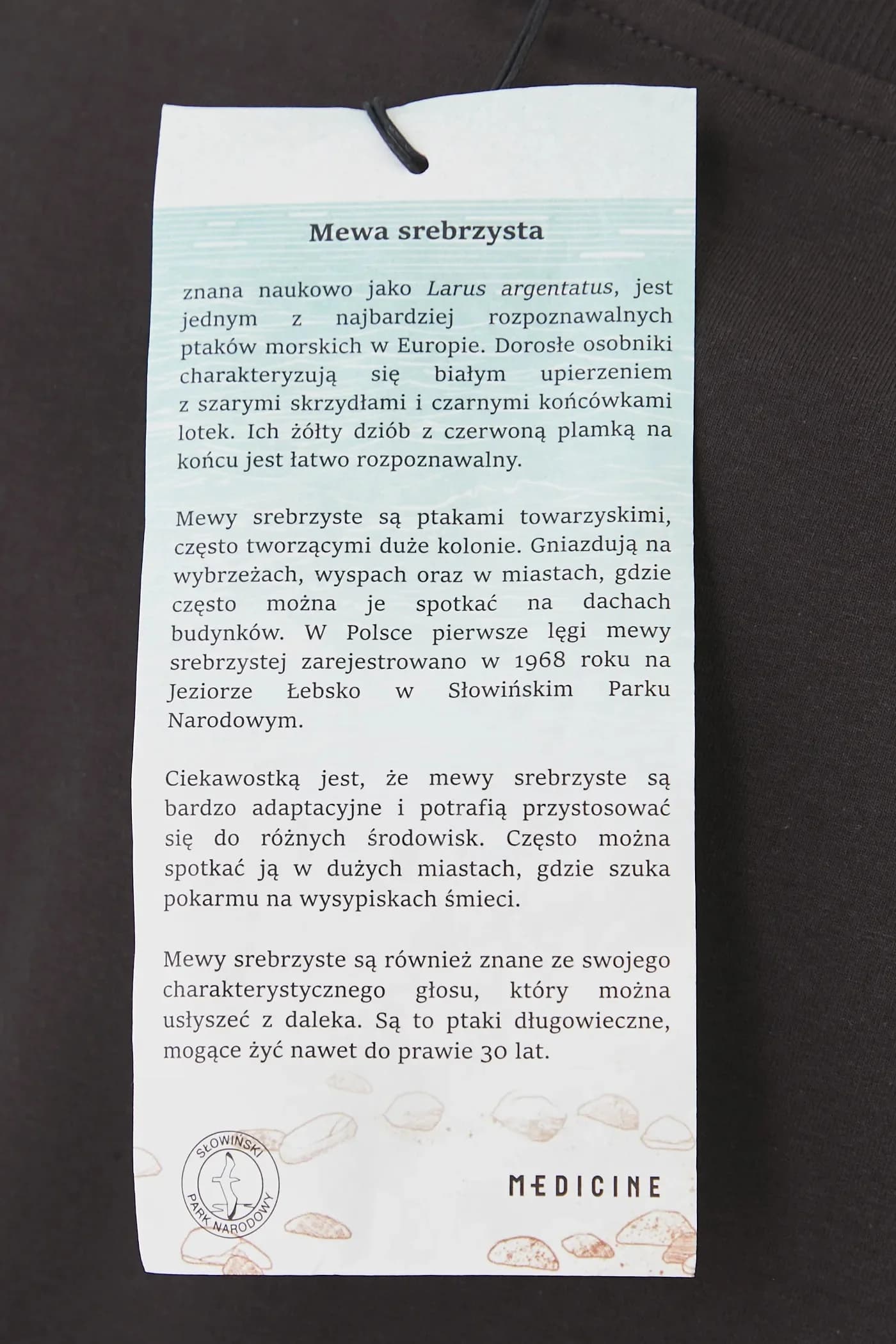 футболка - фото 8