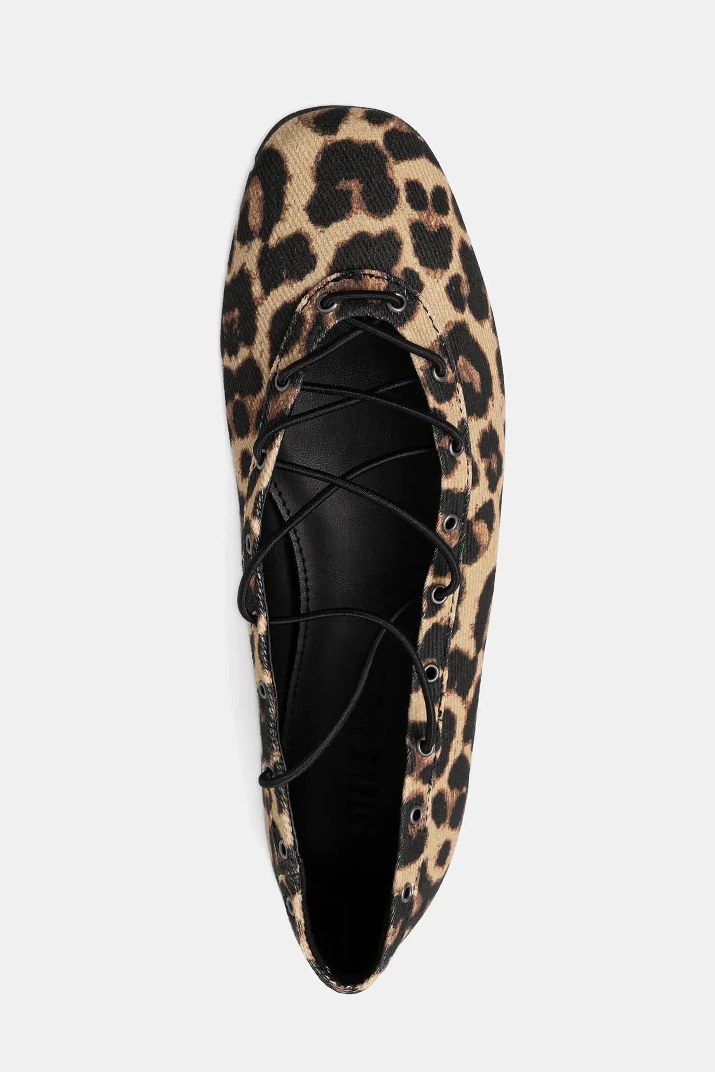 балетки-пуанты - фото 5