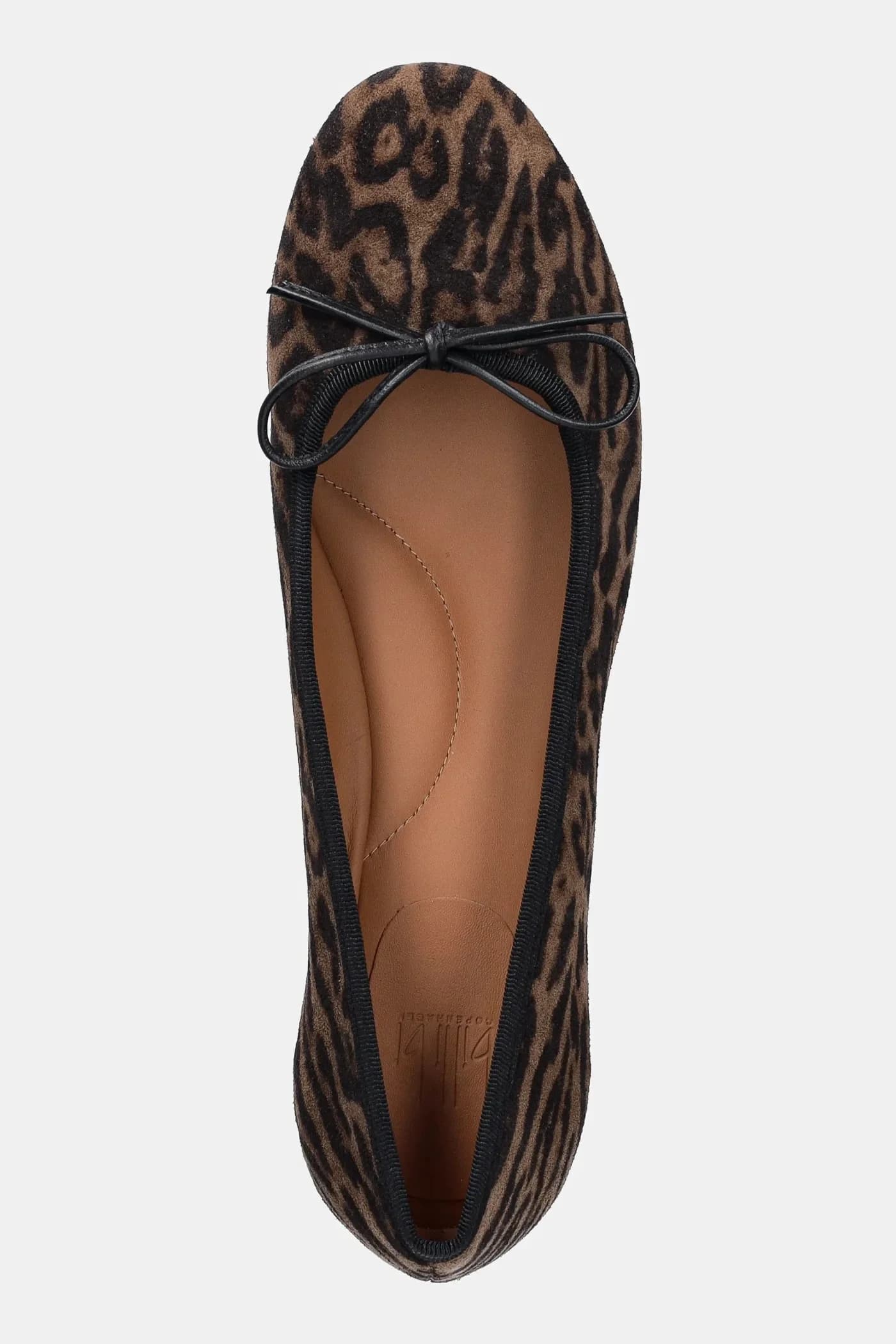 Замшевые балетки Leopardo arabica 546 - фото 4