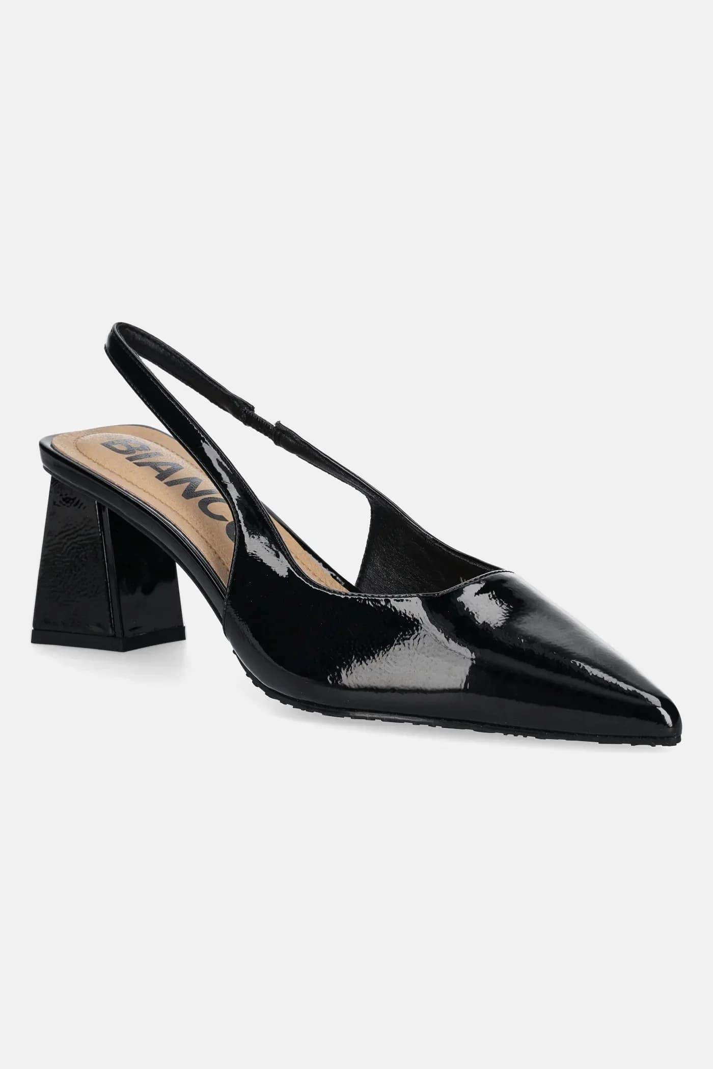 насосы BIAMARALYN