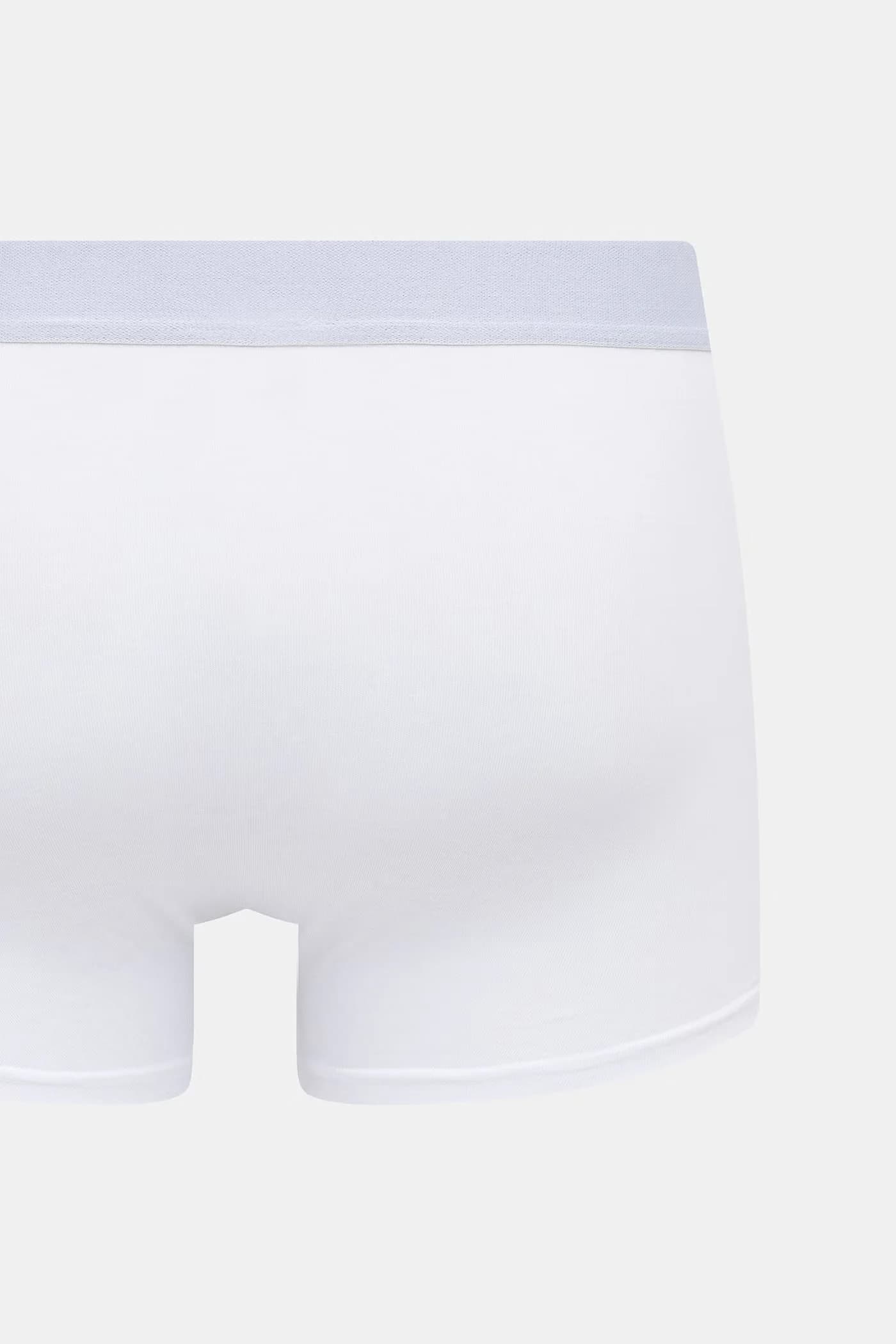 пара шорт-боксеров - фото 3