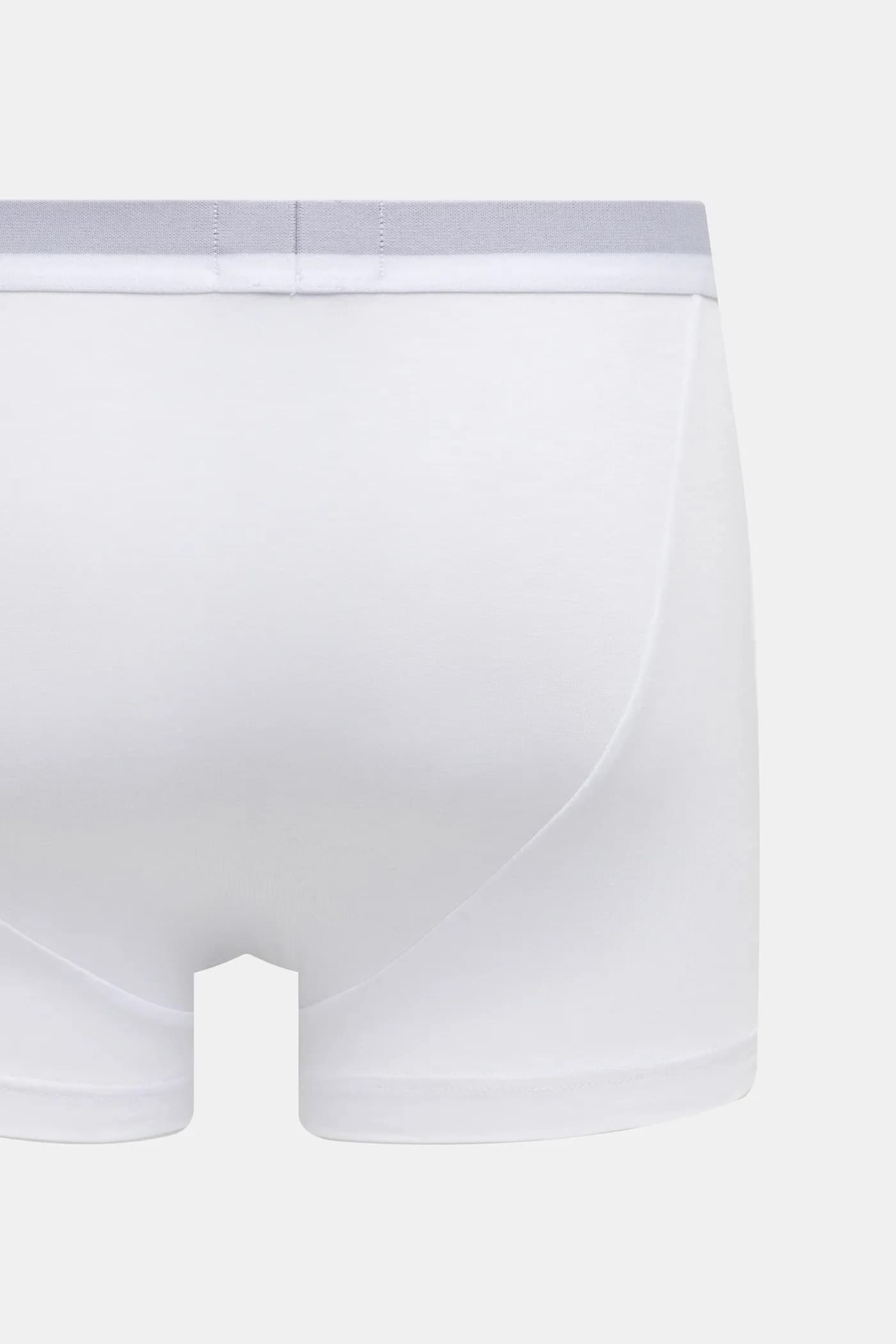 пара шорт-боксеров - фото 3