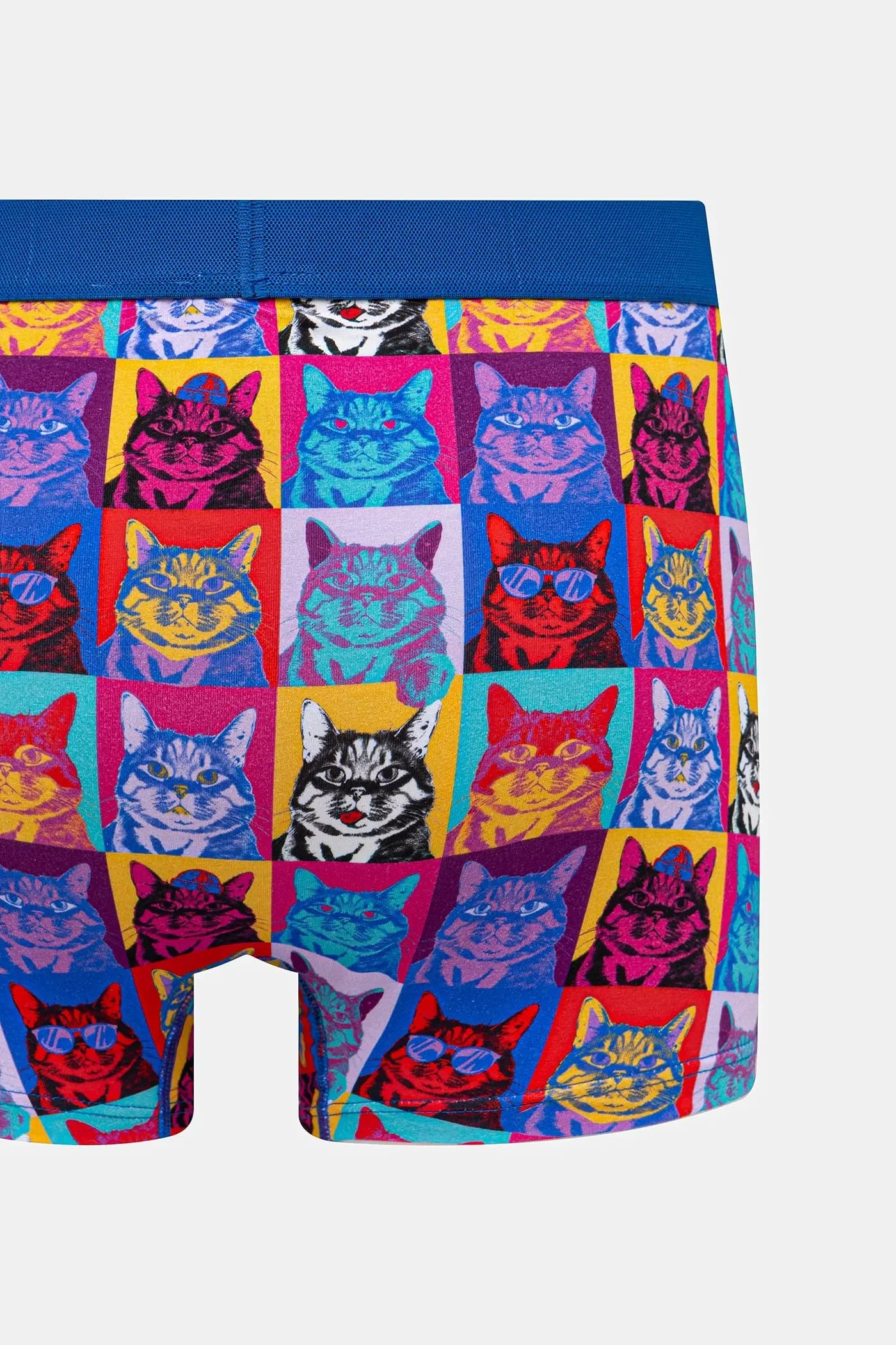 пара шорт-боксеров - фото 6