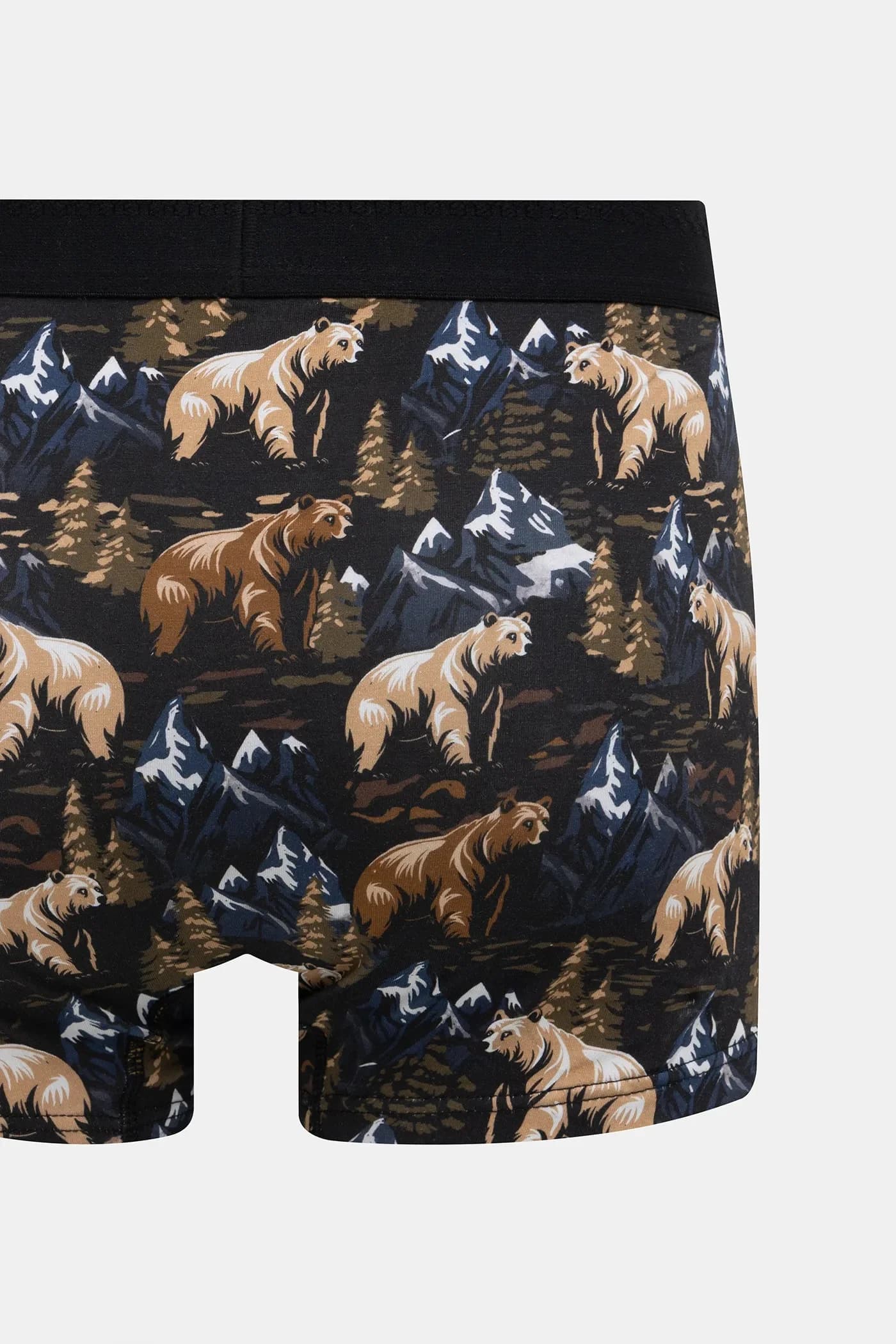 пара шорт-боксеров - фото 3