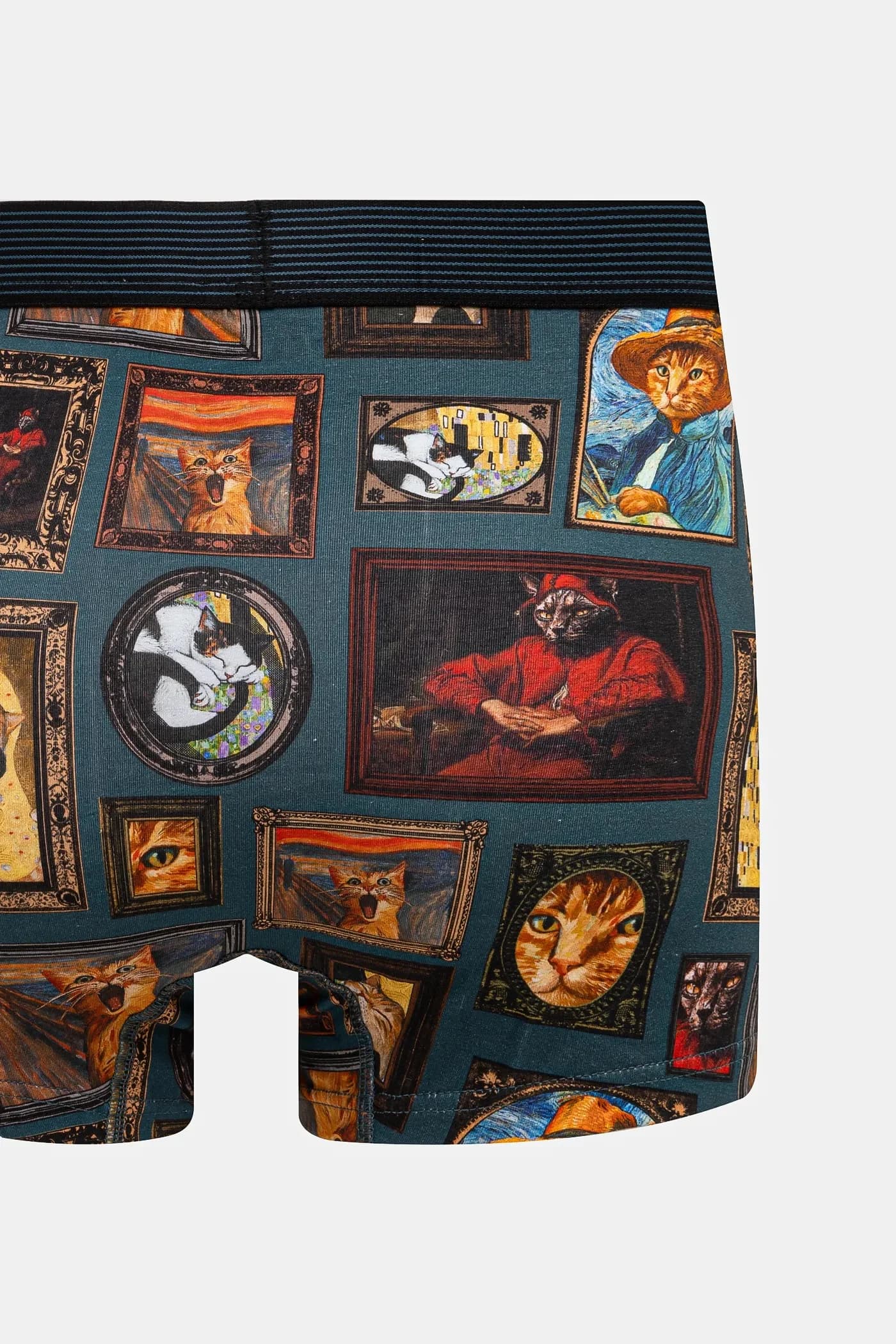 пара шорт-боксеров - фото 4