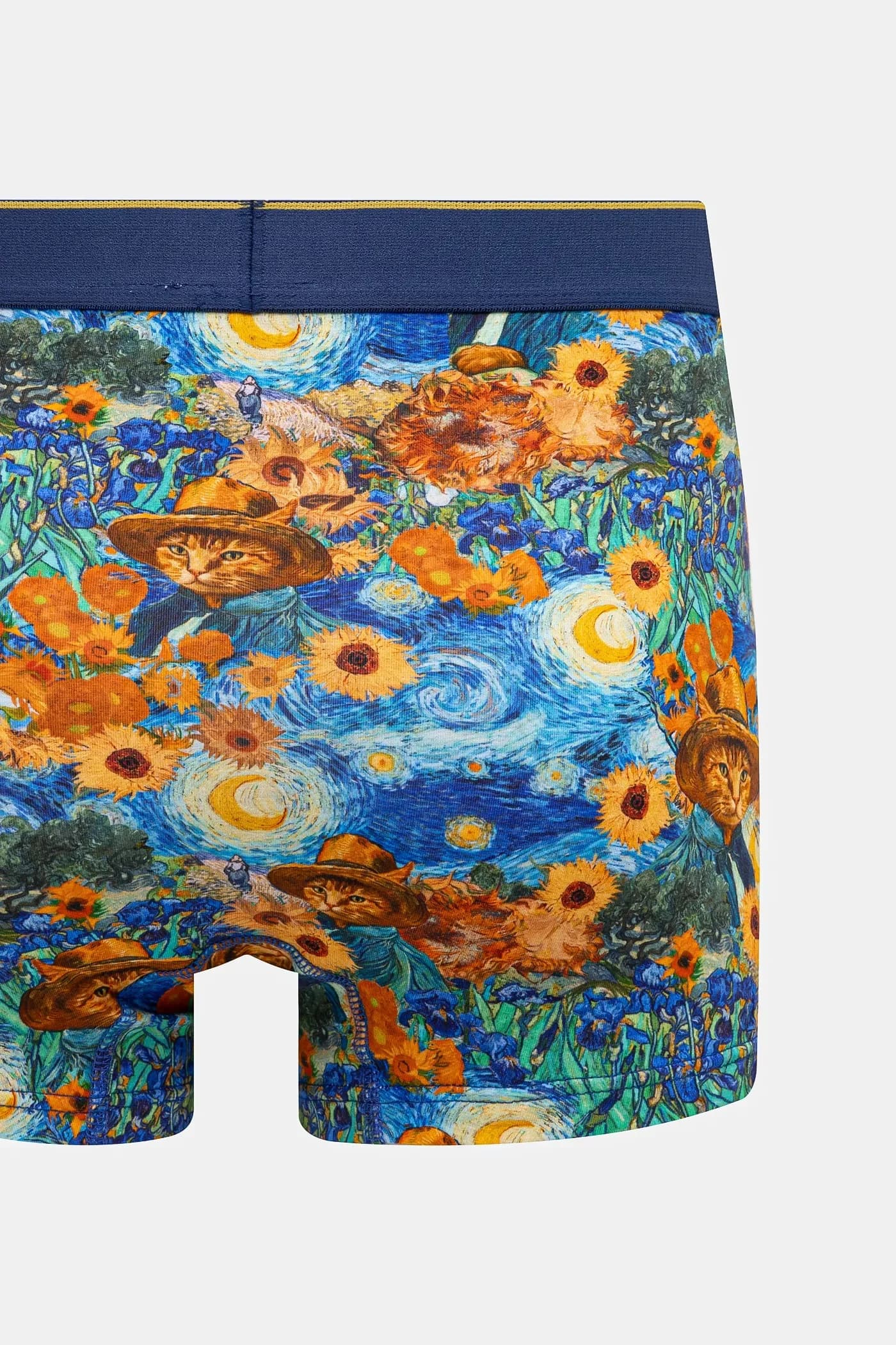 пара шорт-боксеров - фото 5