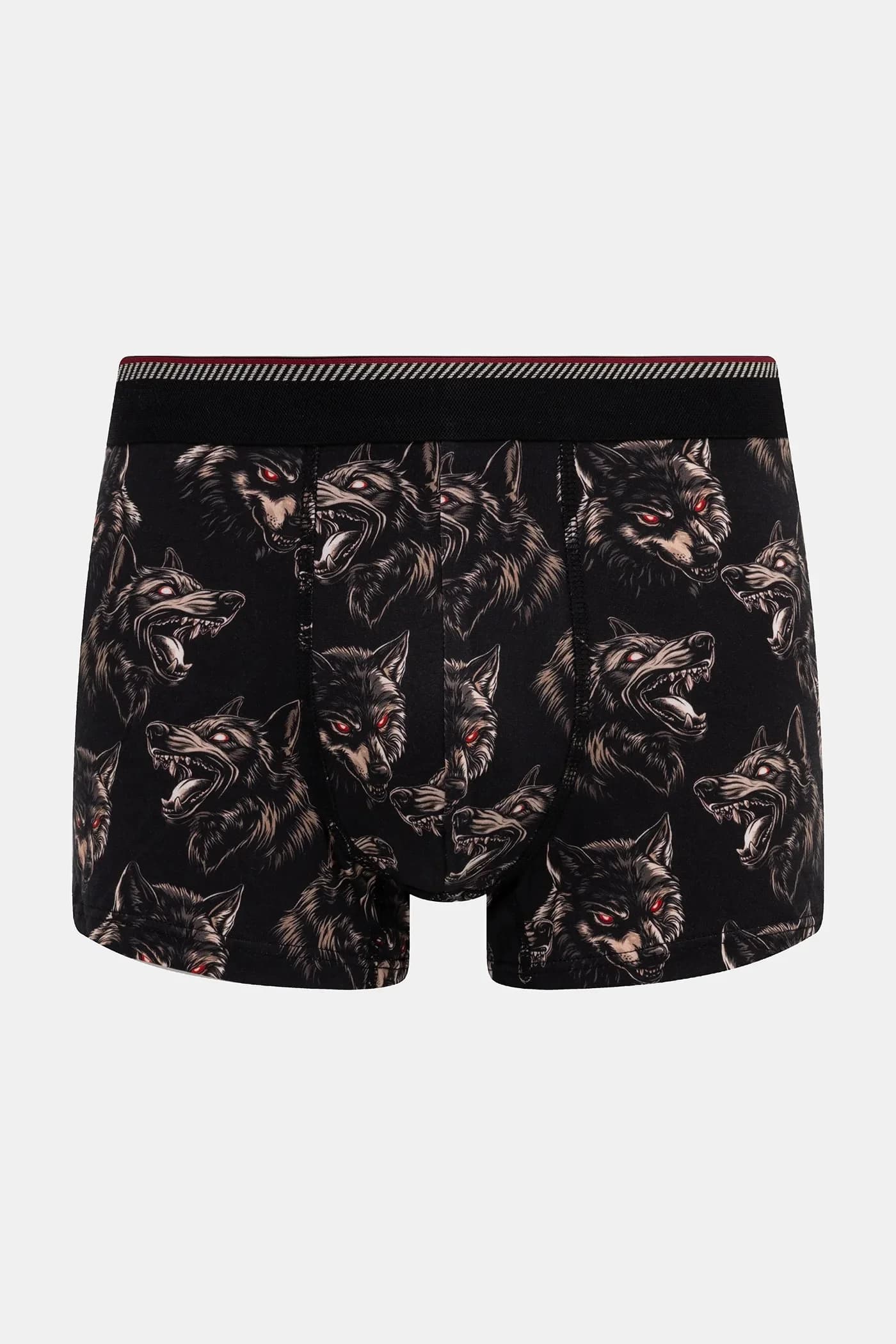 пара шорт-боксеров - фото 2