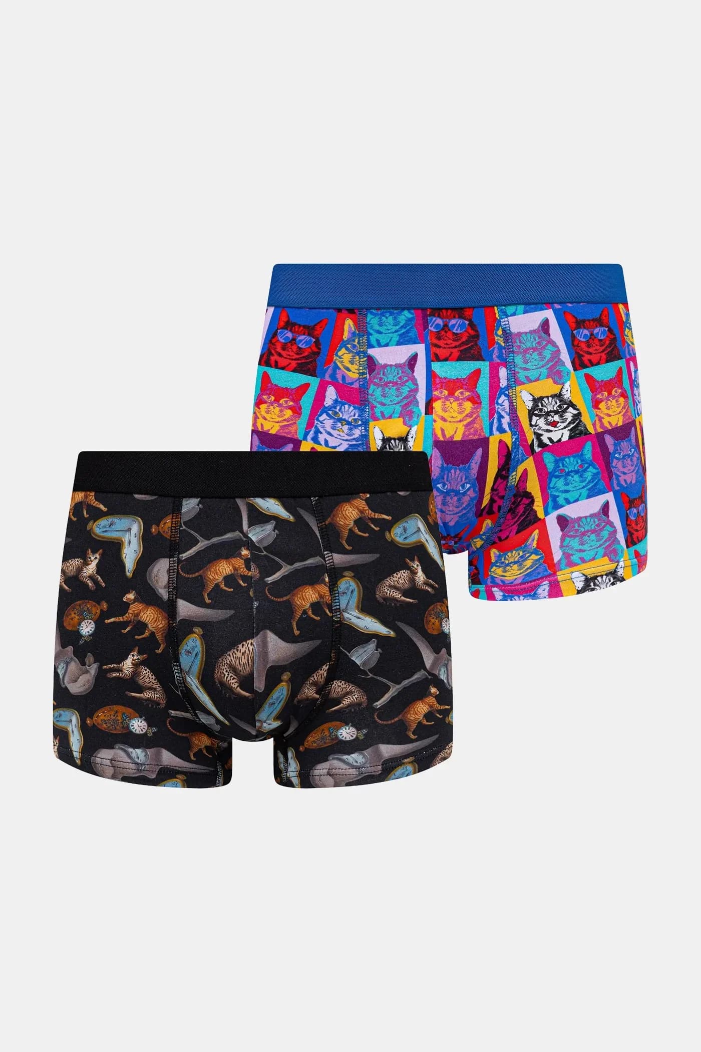 пара шорт-боксеров - фото 2