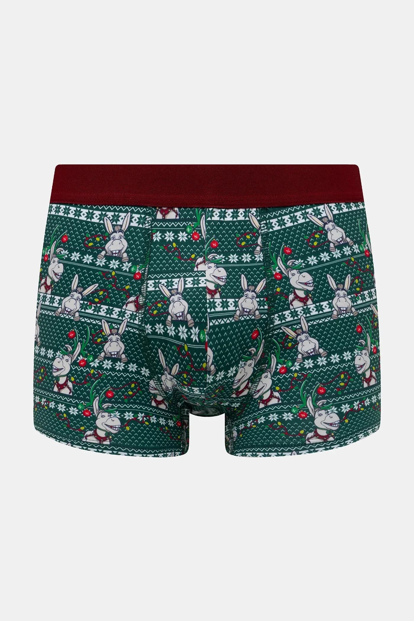 пара шорт-боксеров - фото 2