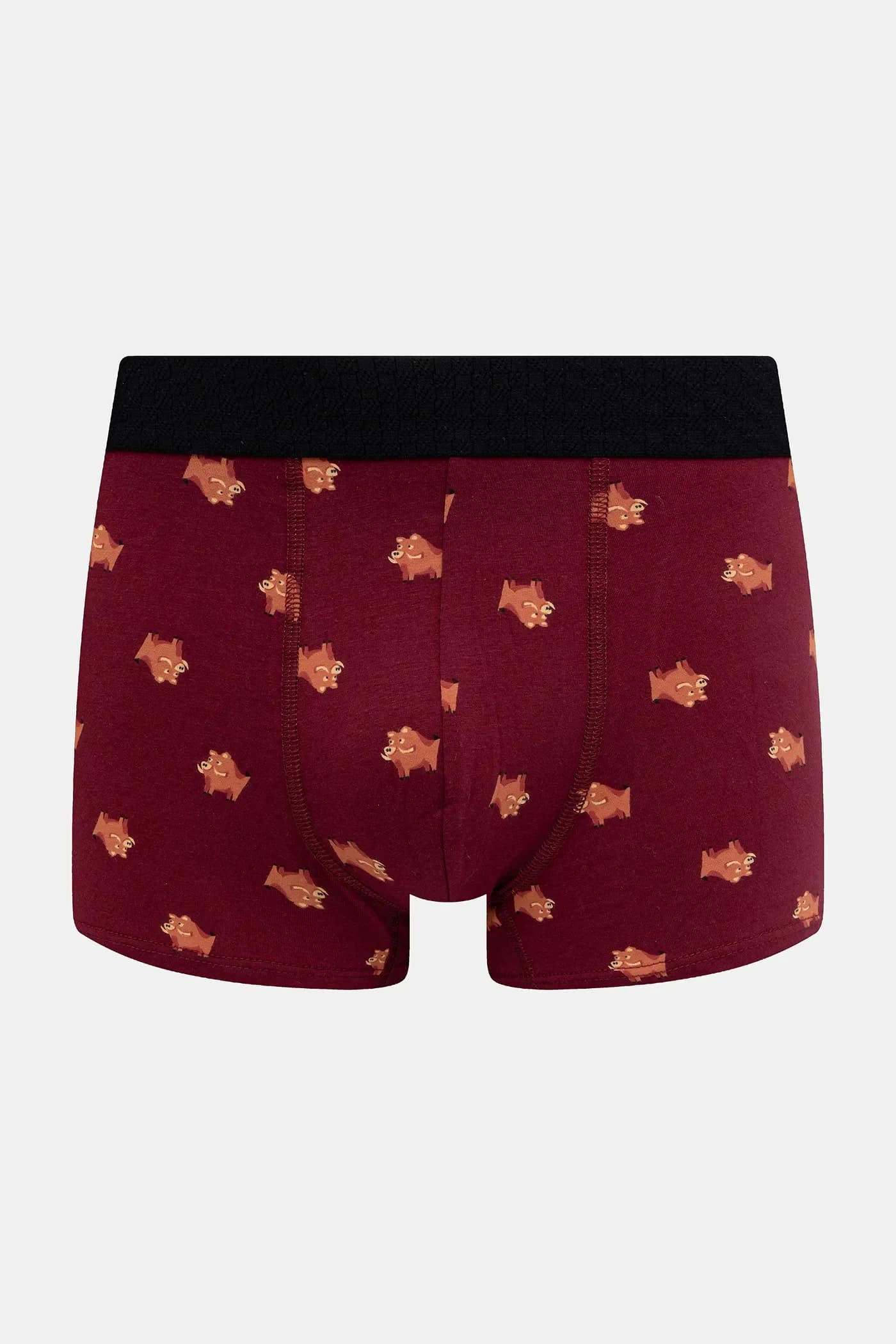 пара шорт-боксеров - фото 2