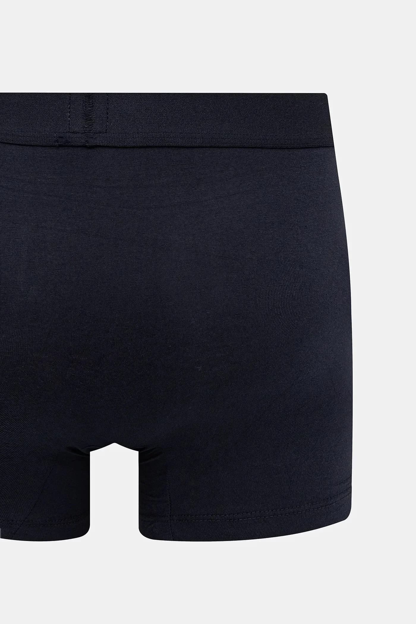 пара шорт-боксеров - фото 3