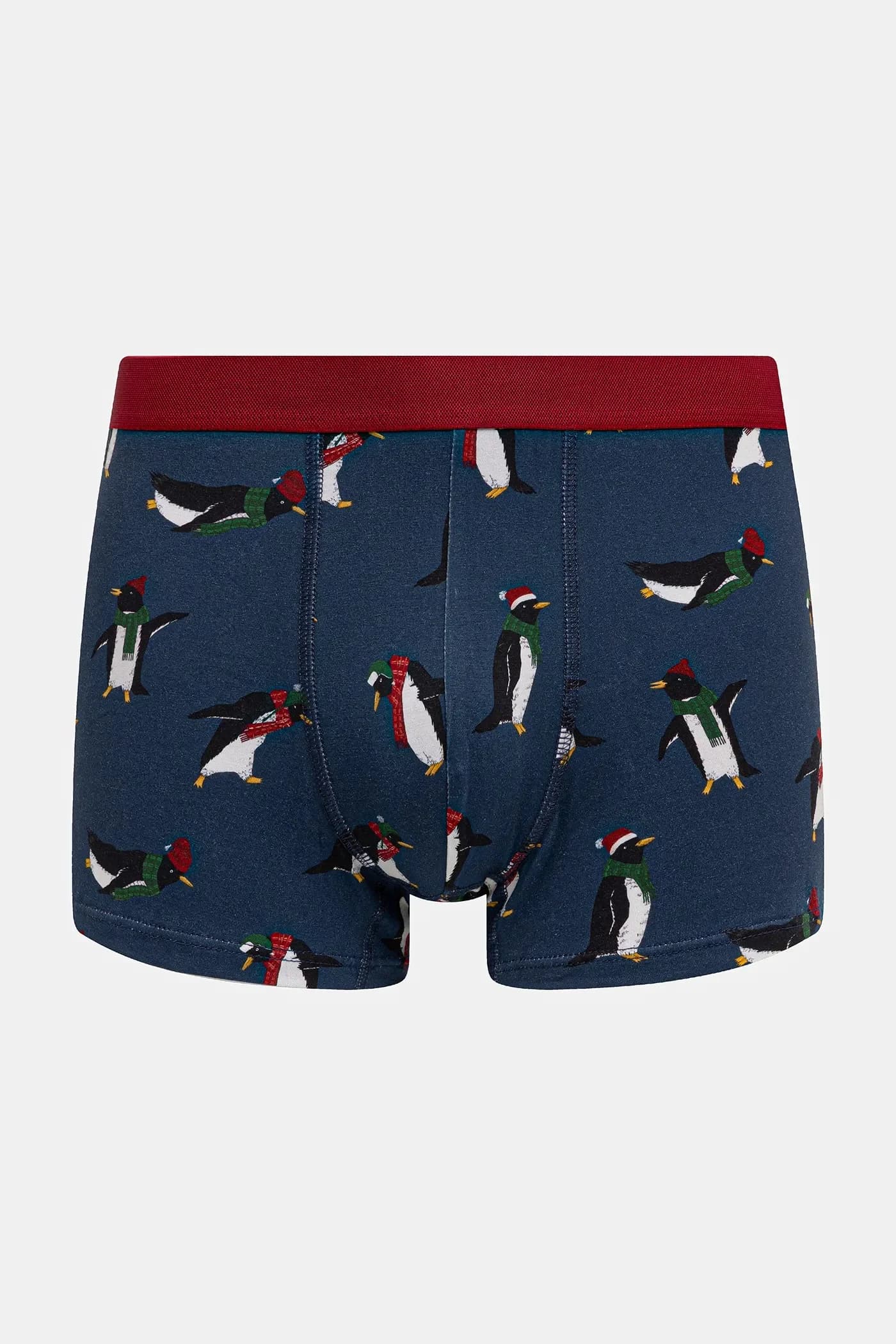 пара шорт-боксеров - фото 3