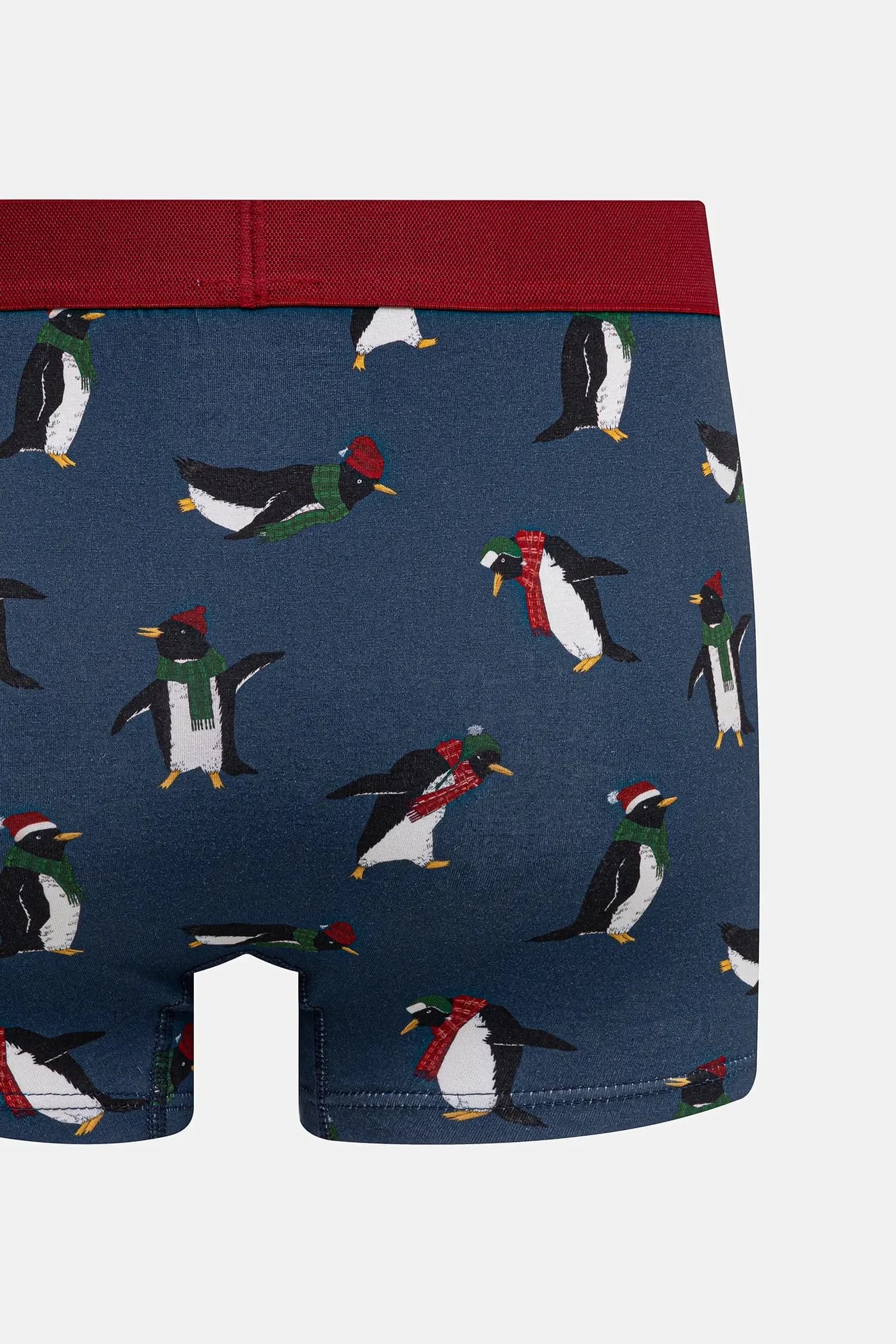 пара шорт-боксеров - фото 5