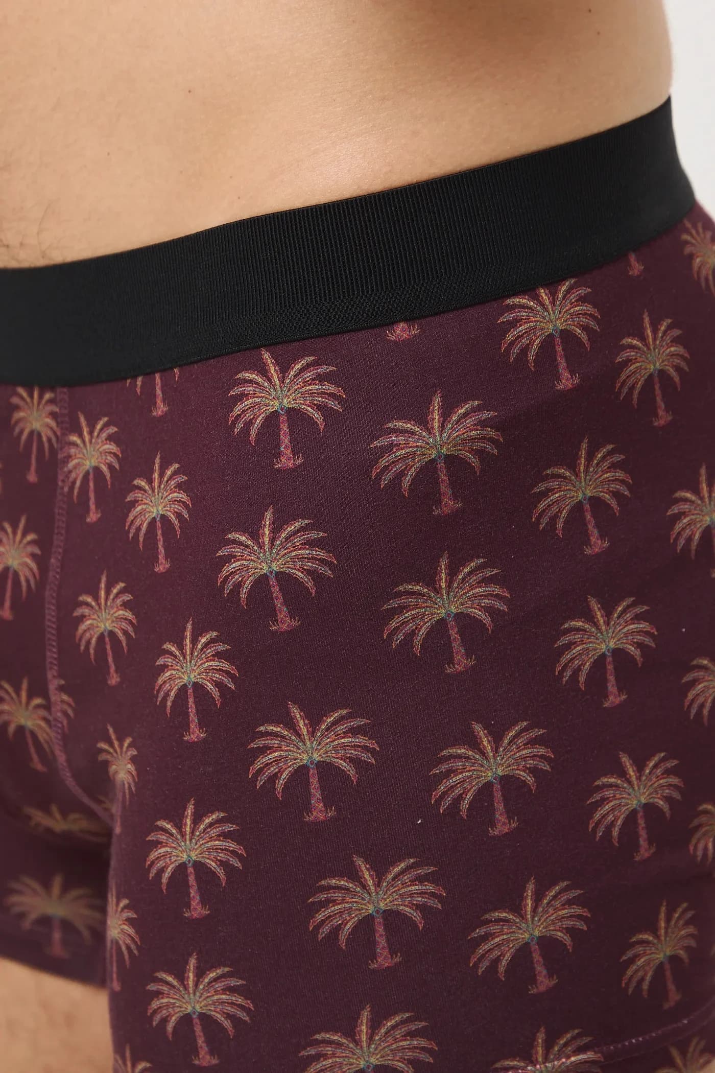 пара шорт-боксеров - фото 12