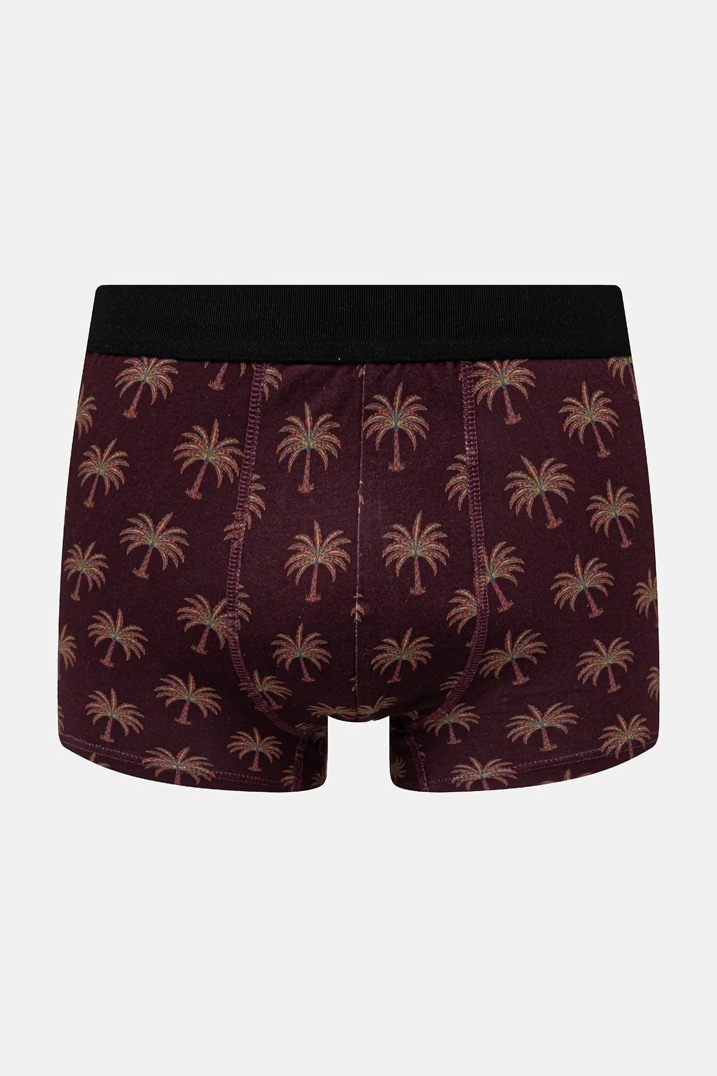 пара шорт-боксеров - фото 3