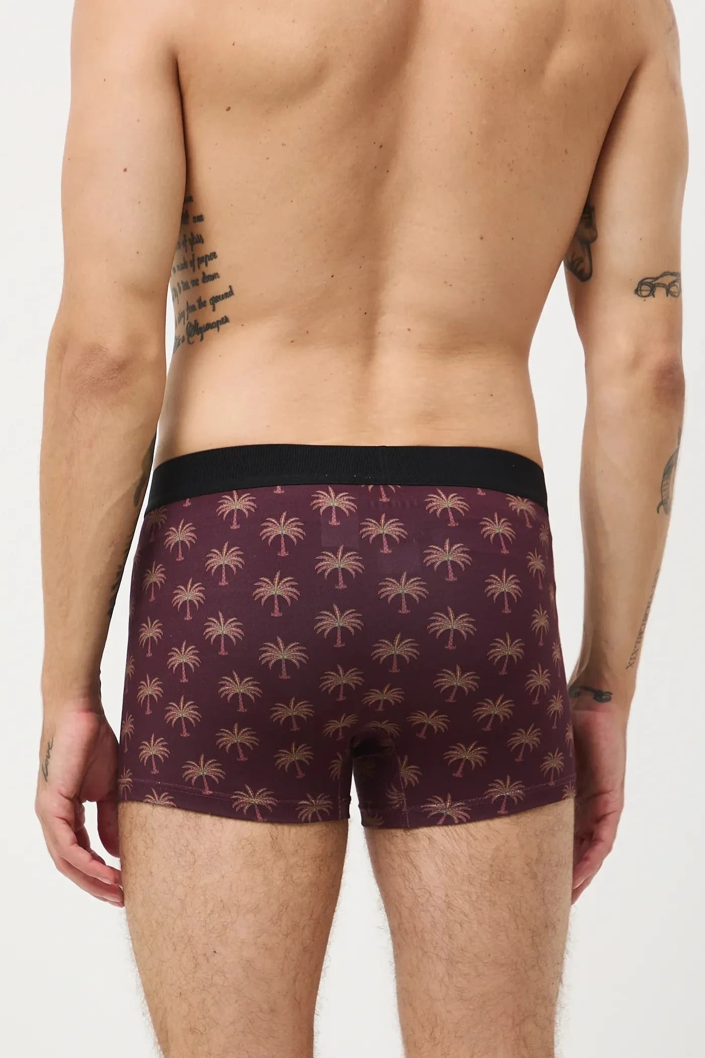 пара шорт-боксеров - фото 10