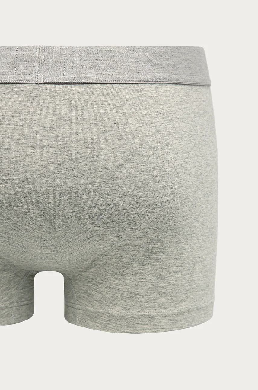 Боксеры - фото 2