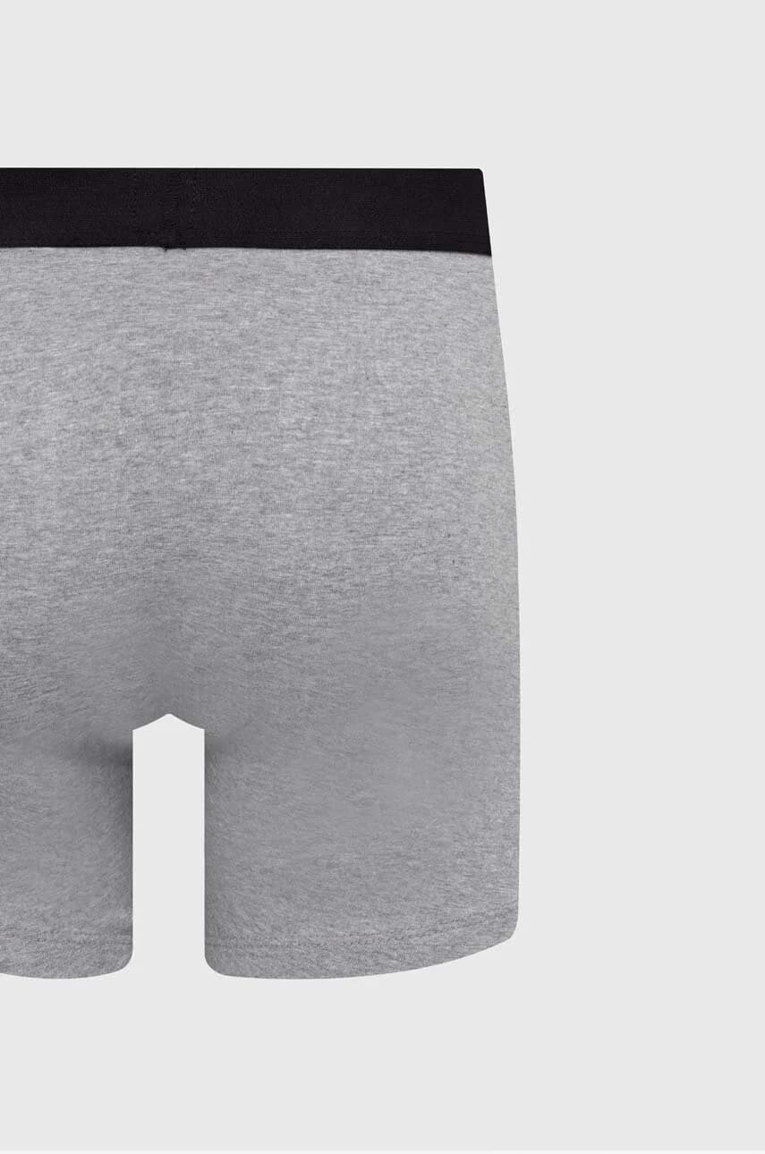 Боксеры - фото 7