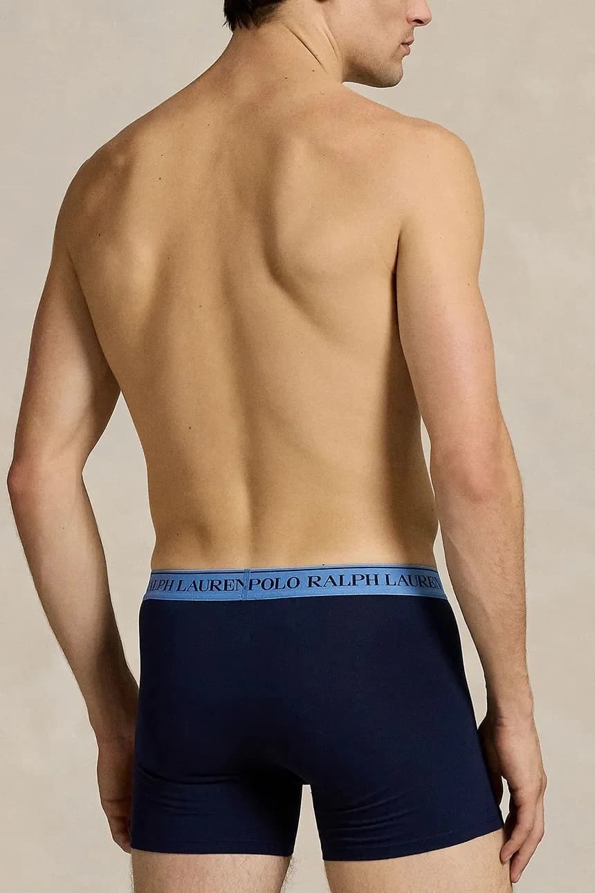 Боксеры - фото 4