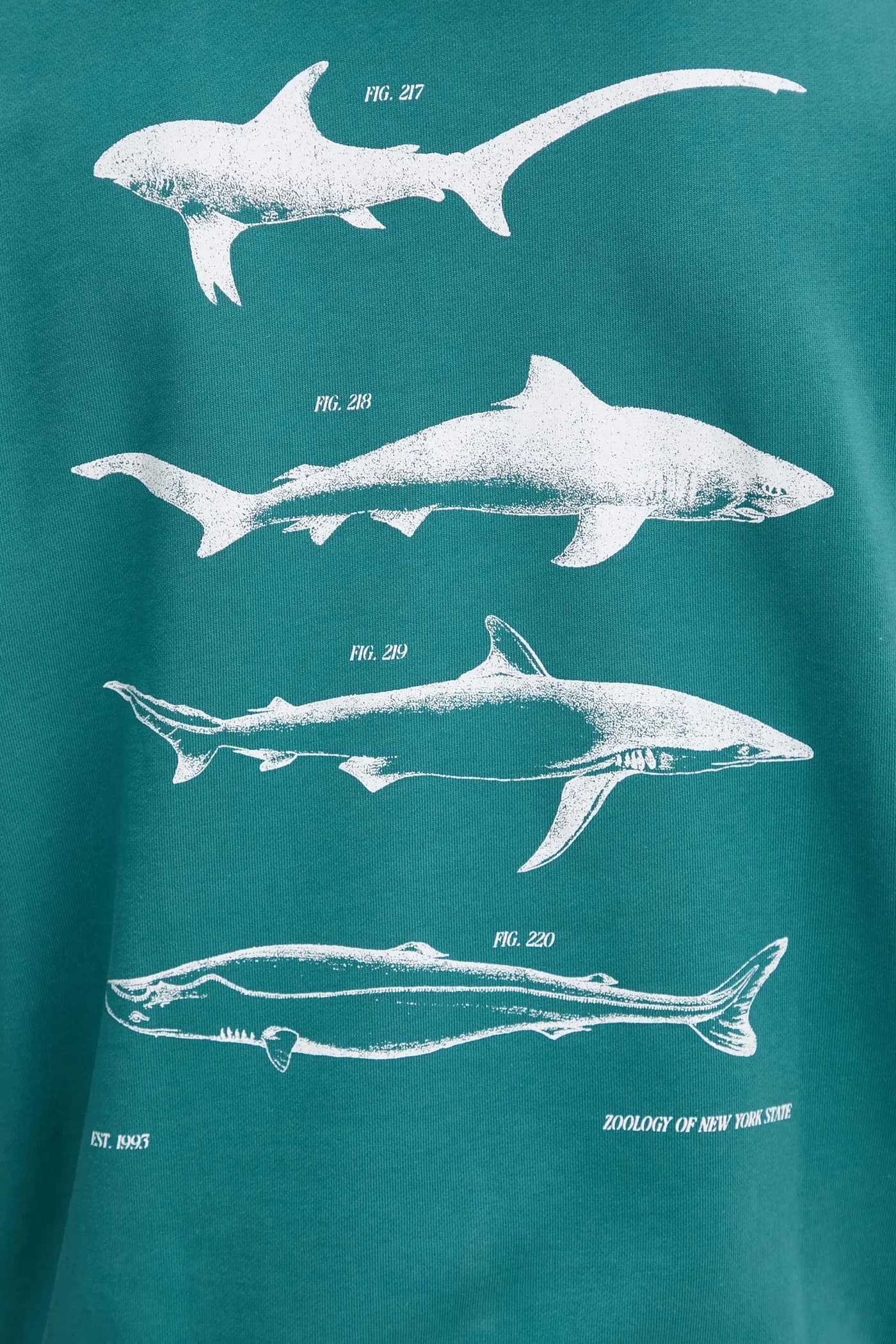 толстовка Noutilex из хлопка - фото 5