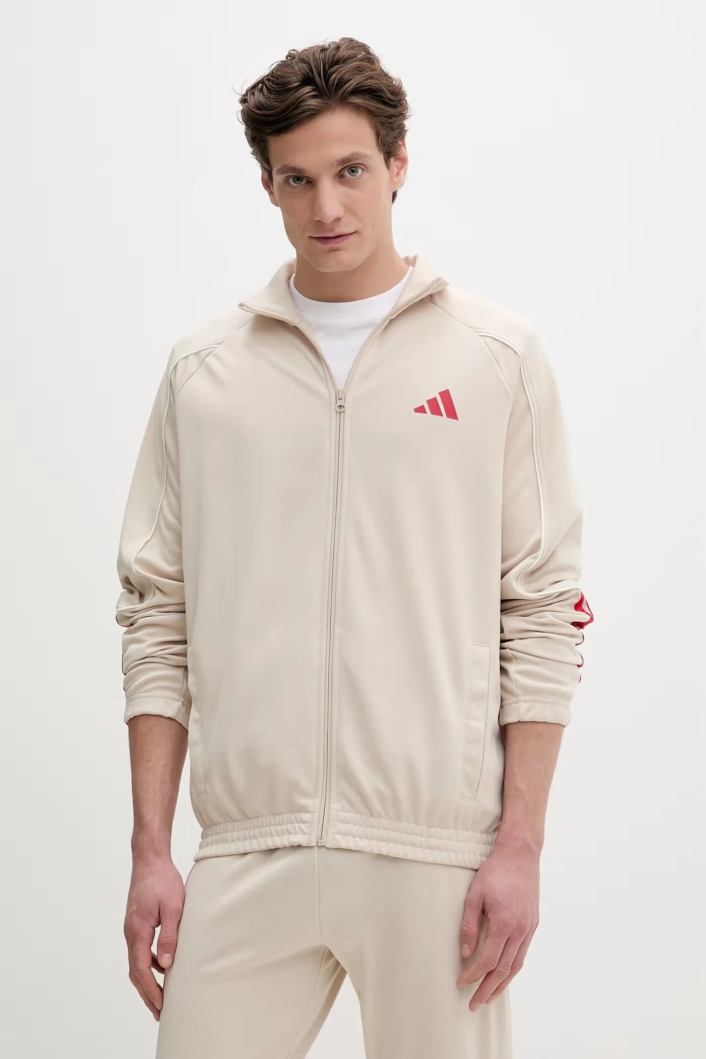 Стадион Дрес - фото 2