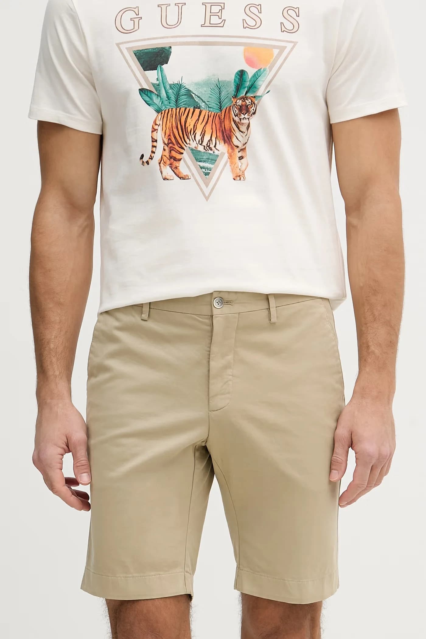 Мужские шорты