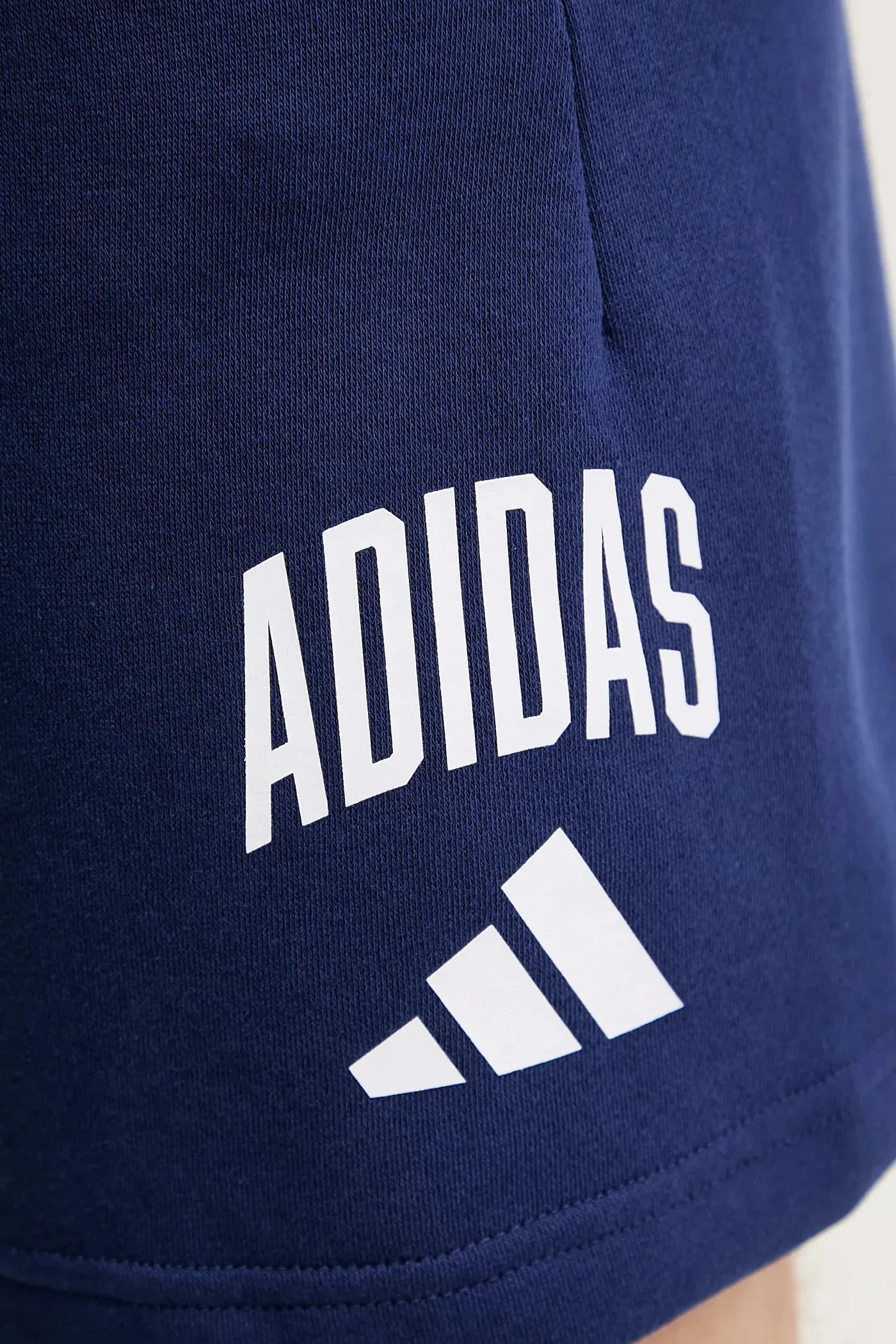 Университетские шорты - фото 4