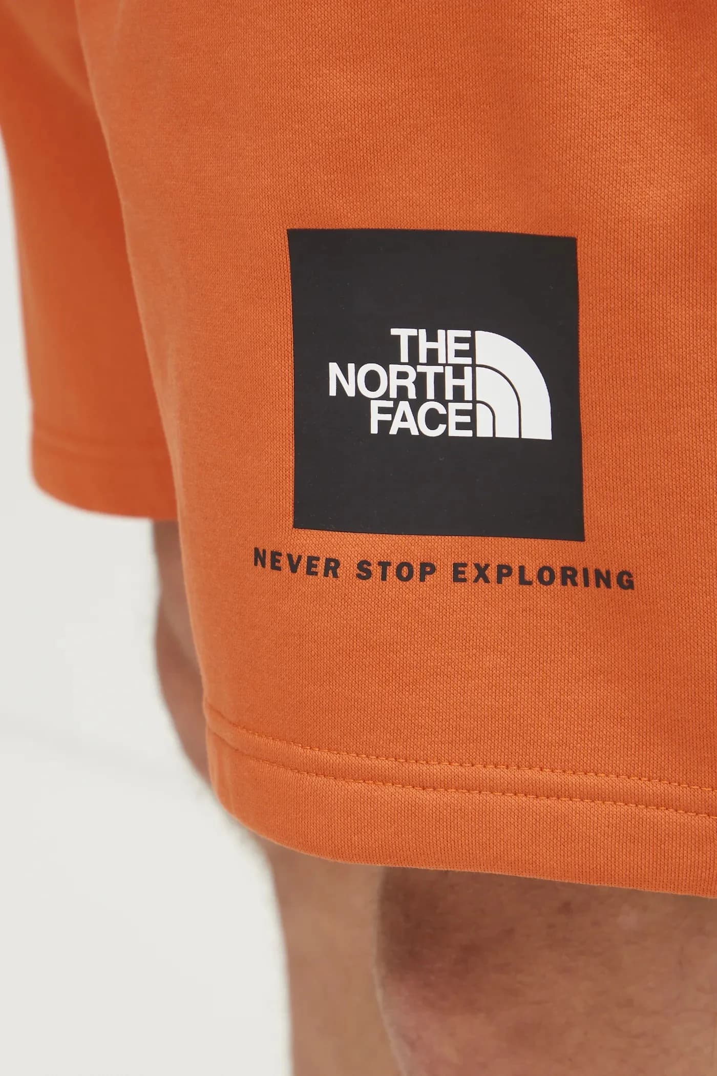 Нупце обычные шорты - фото 4