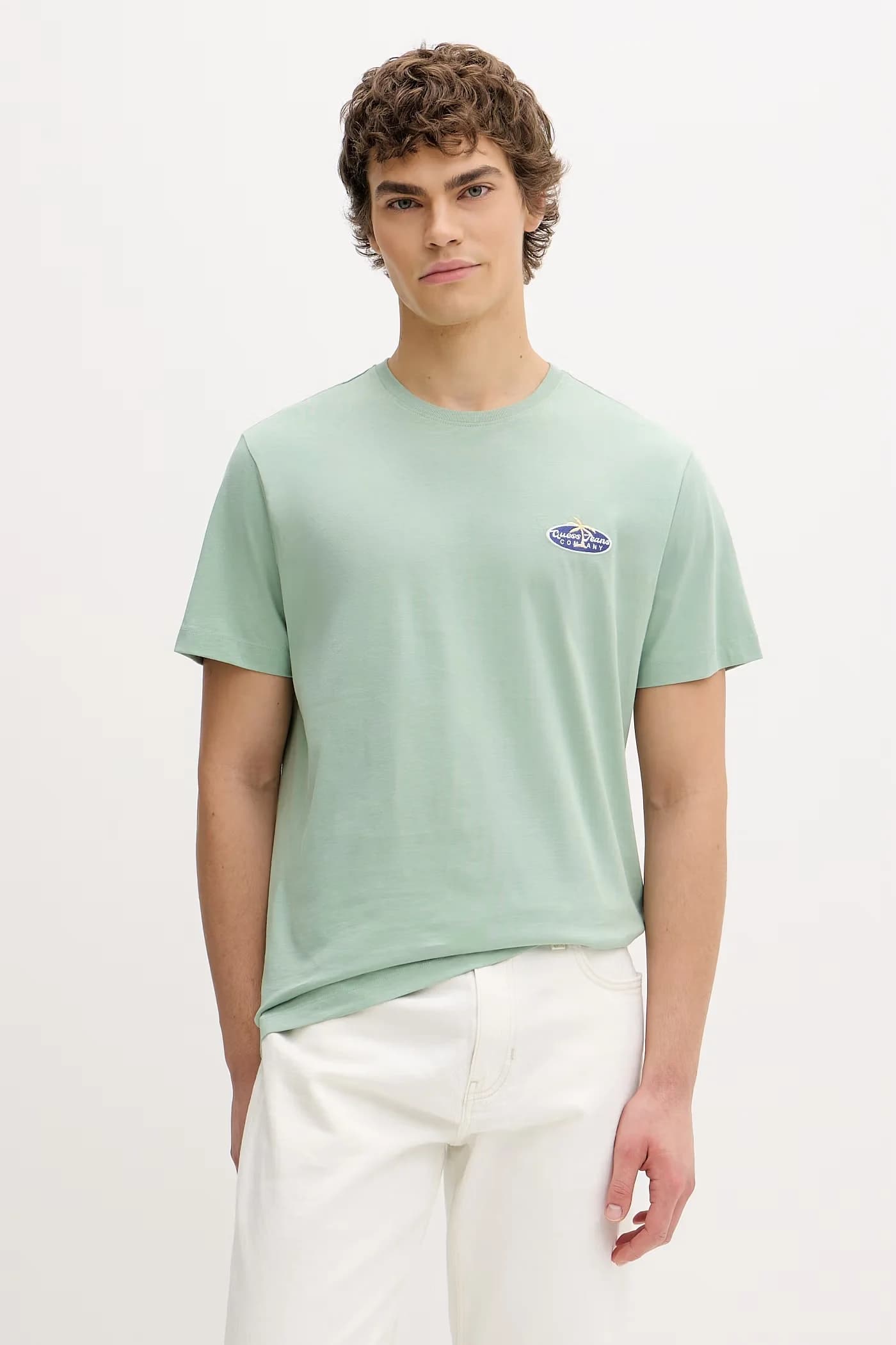 Мужская хлопковая футболка