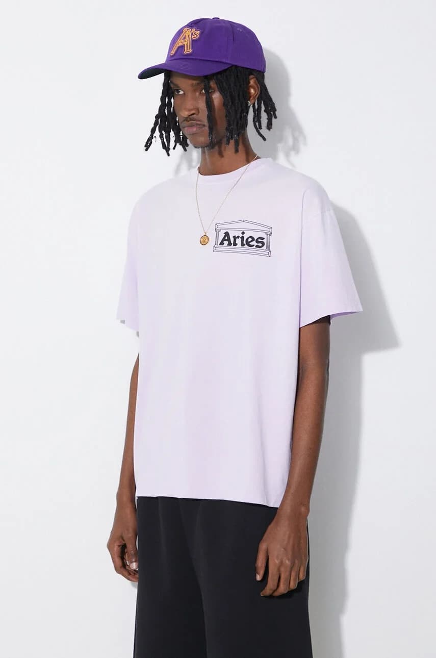 Хлопковая футболка Sunbleached Temple SS - фото 4