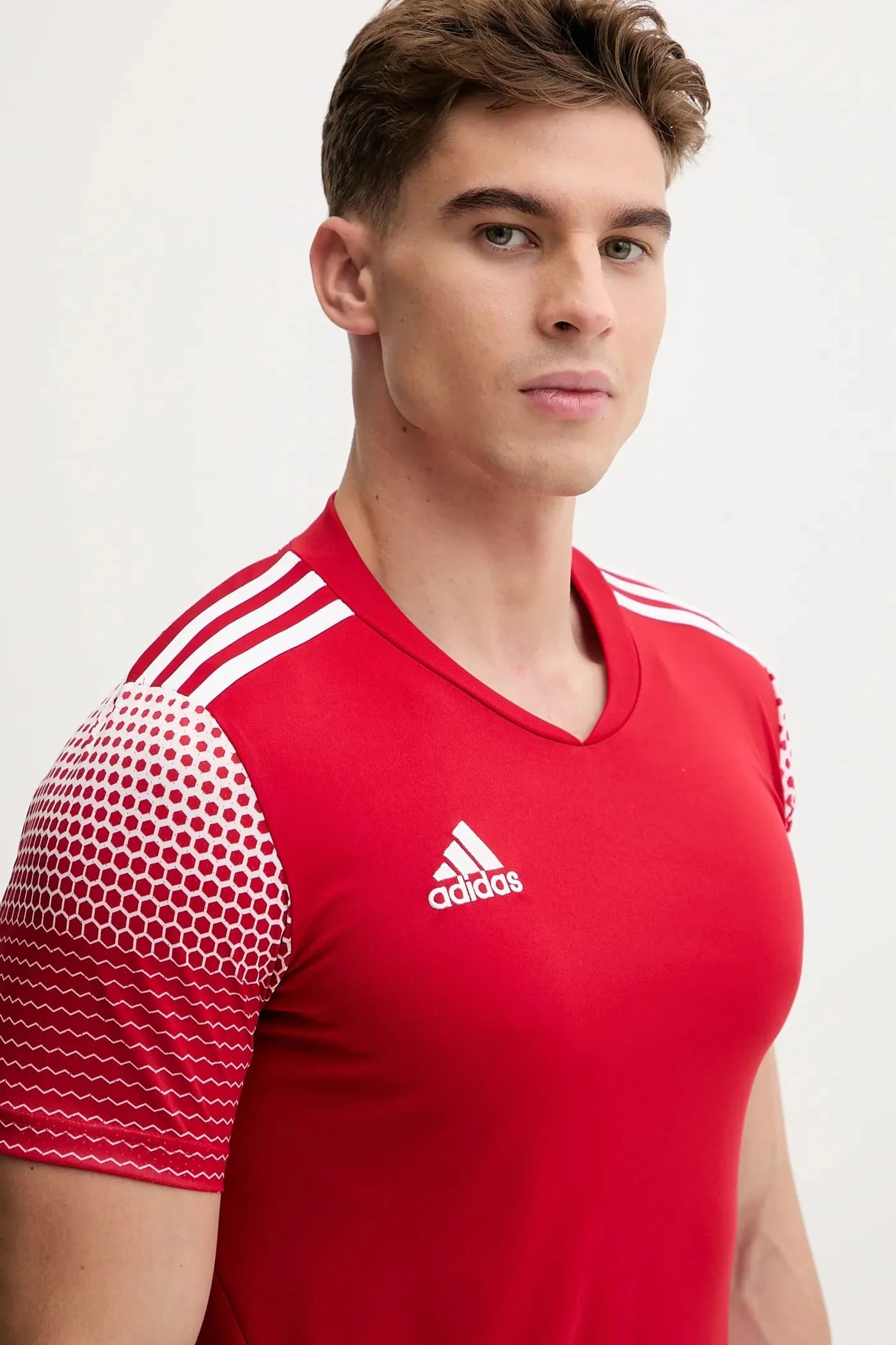 РЕГИСТА 20 Футболка - фото 4