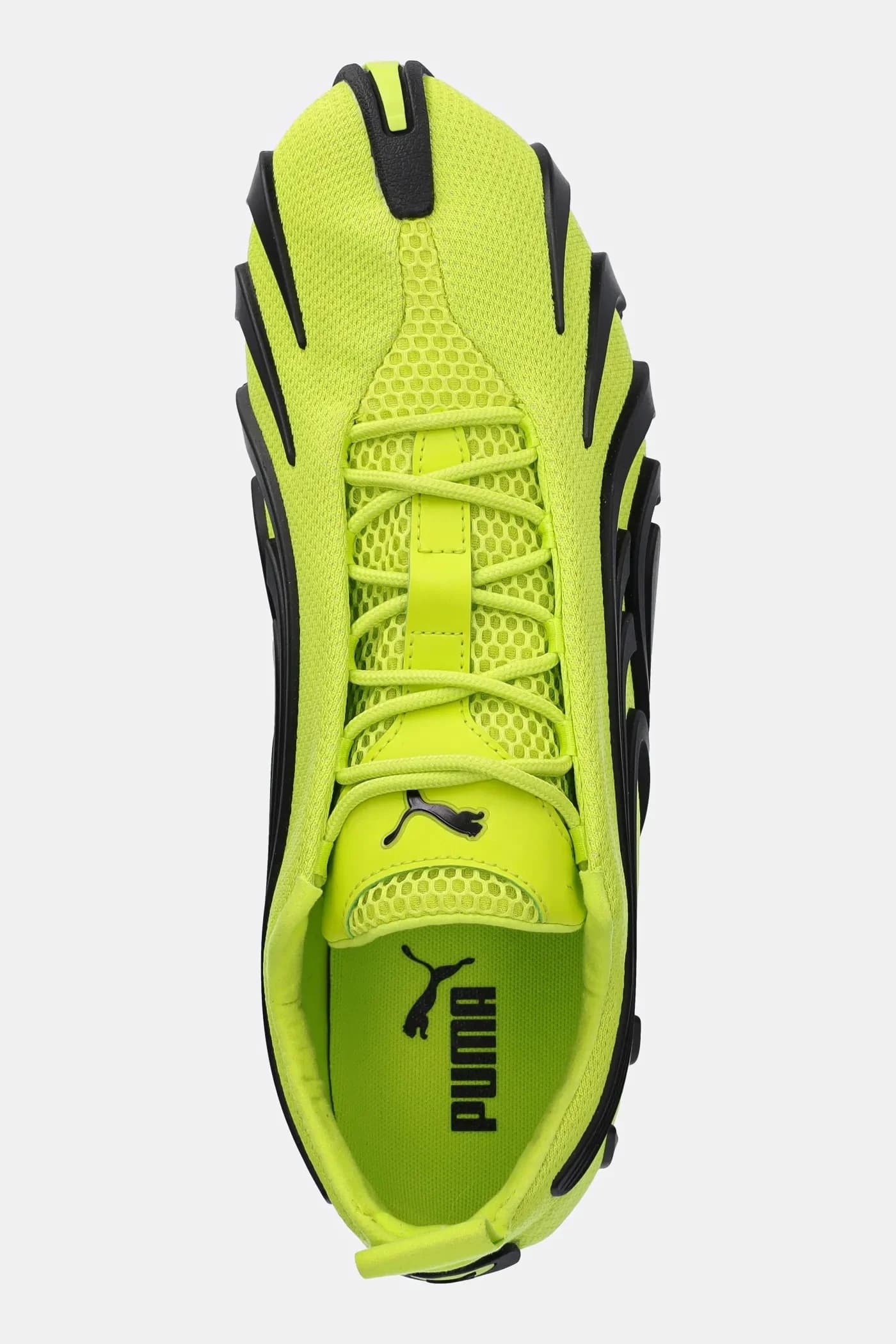 кроссовки Talon OG - фото 4