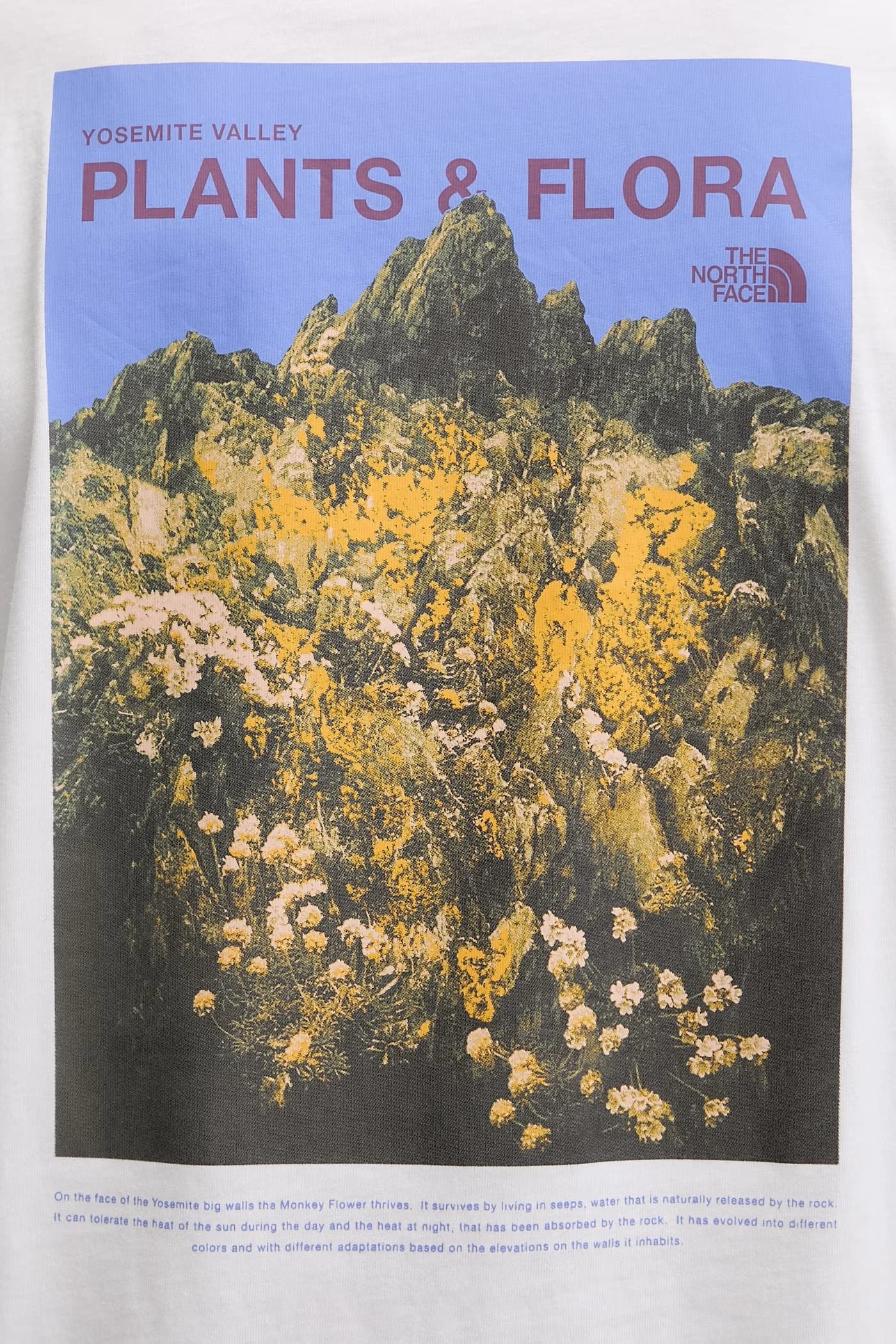 Мужская футболка PLANT & FLORA из хлопка - фото 5