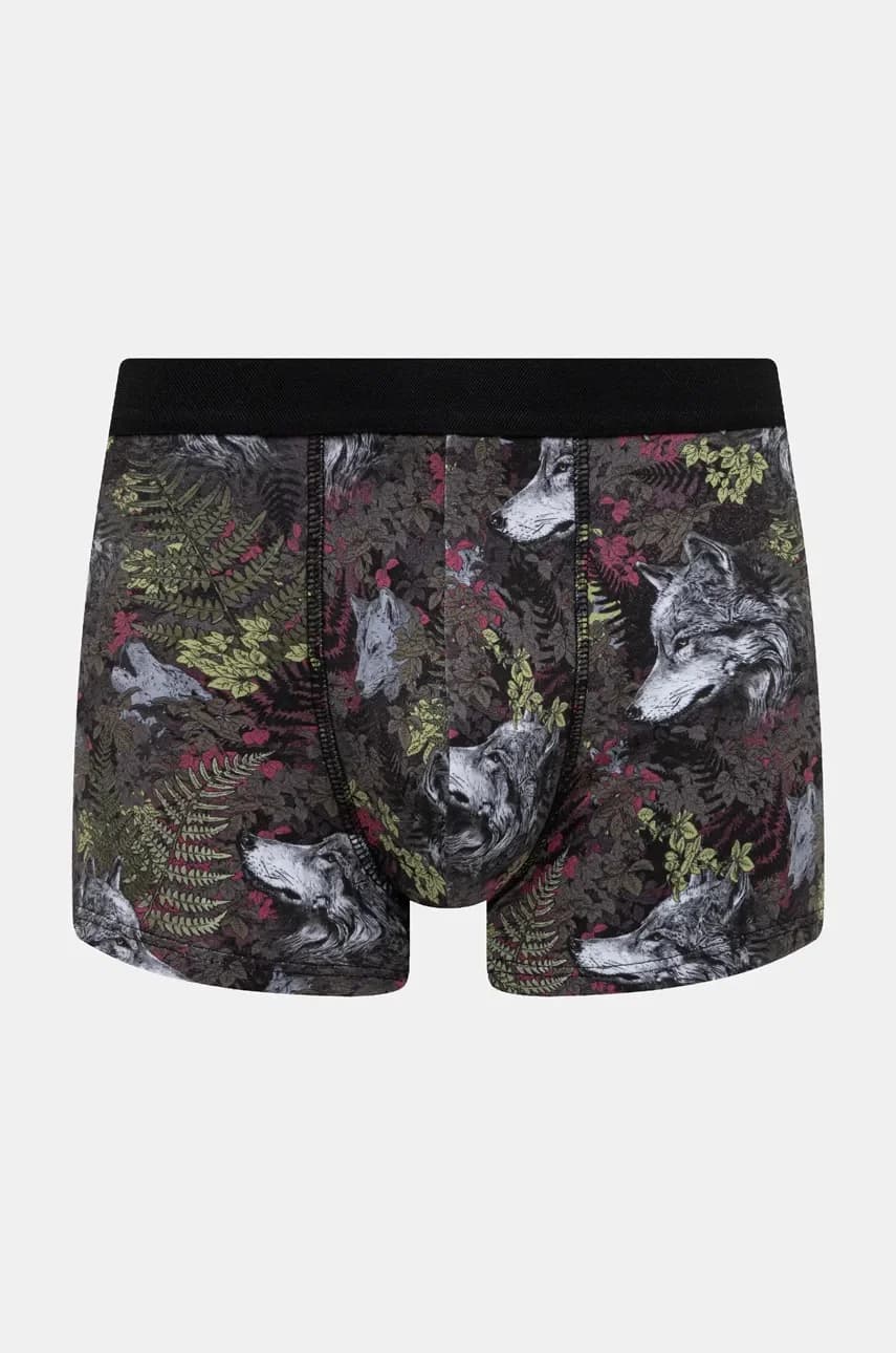 Боксеры - фото 2